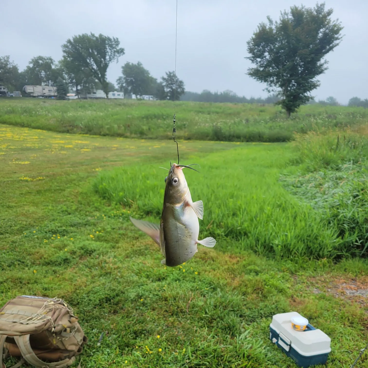catch