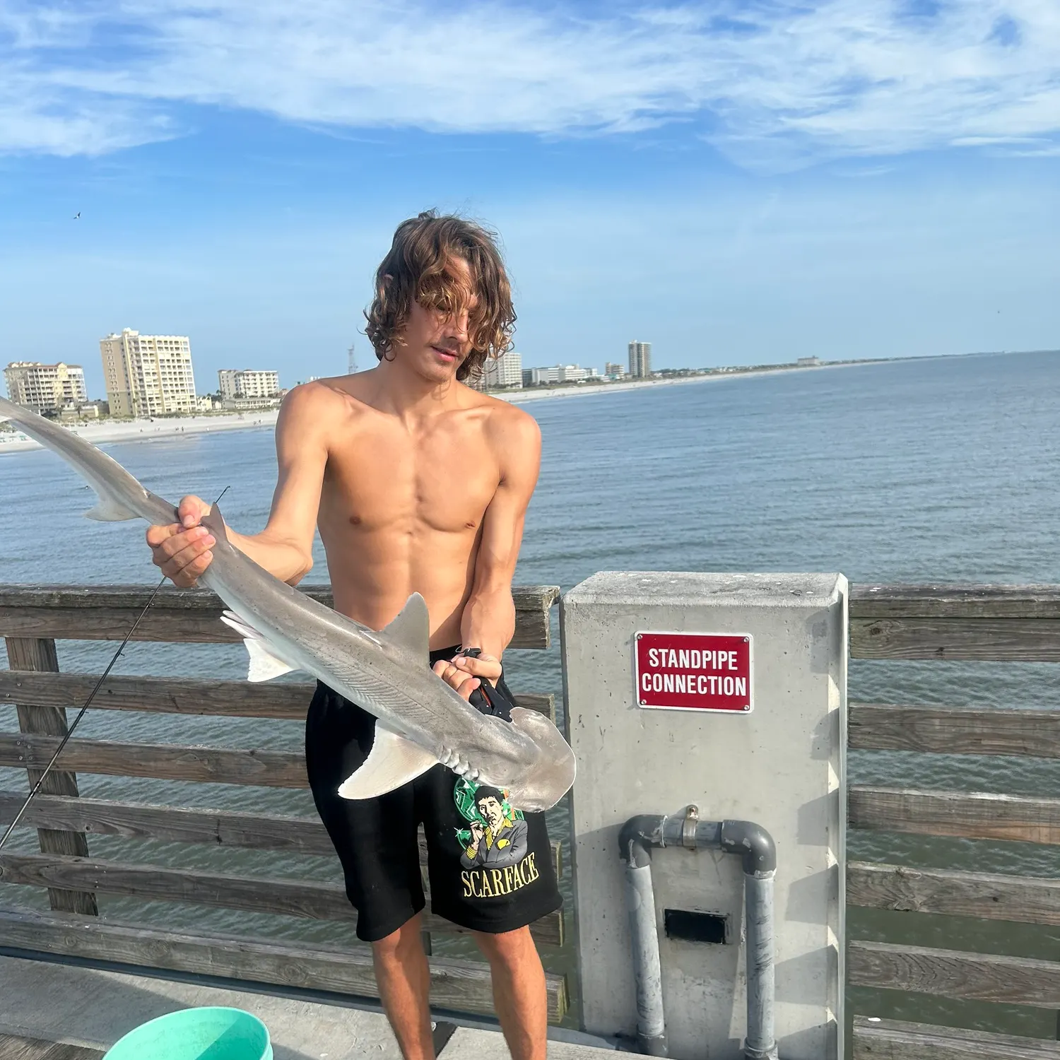 Bonnethead shark caught on Fishbrain