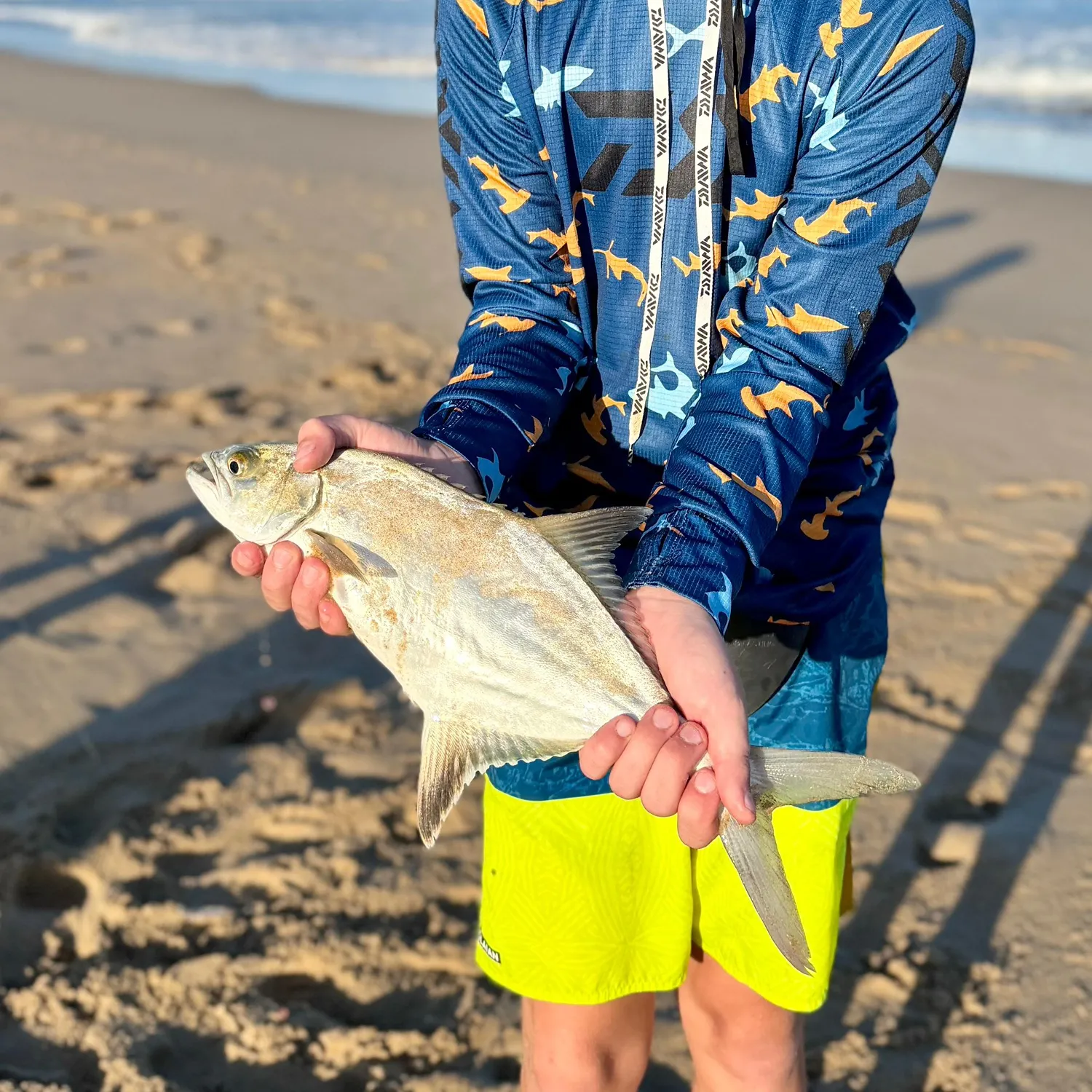 The most recent Leerfish catches on Fishbrain