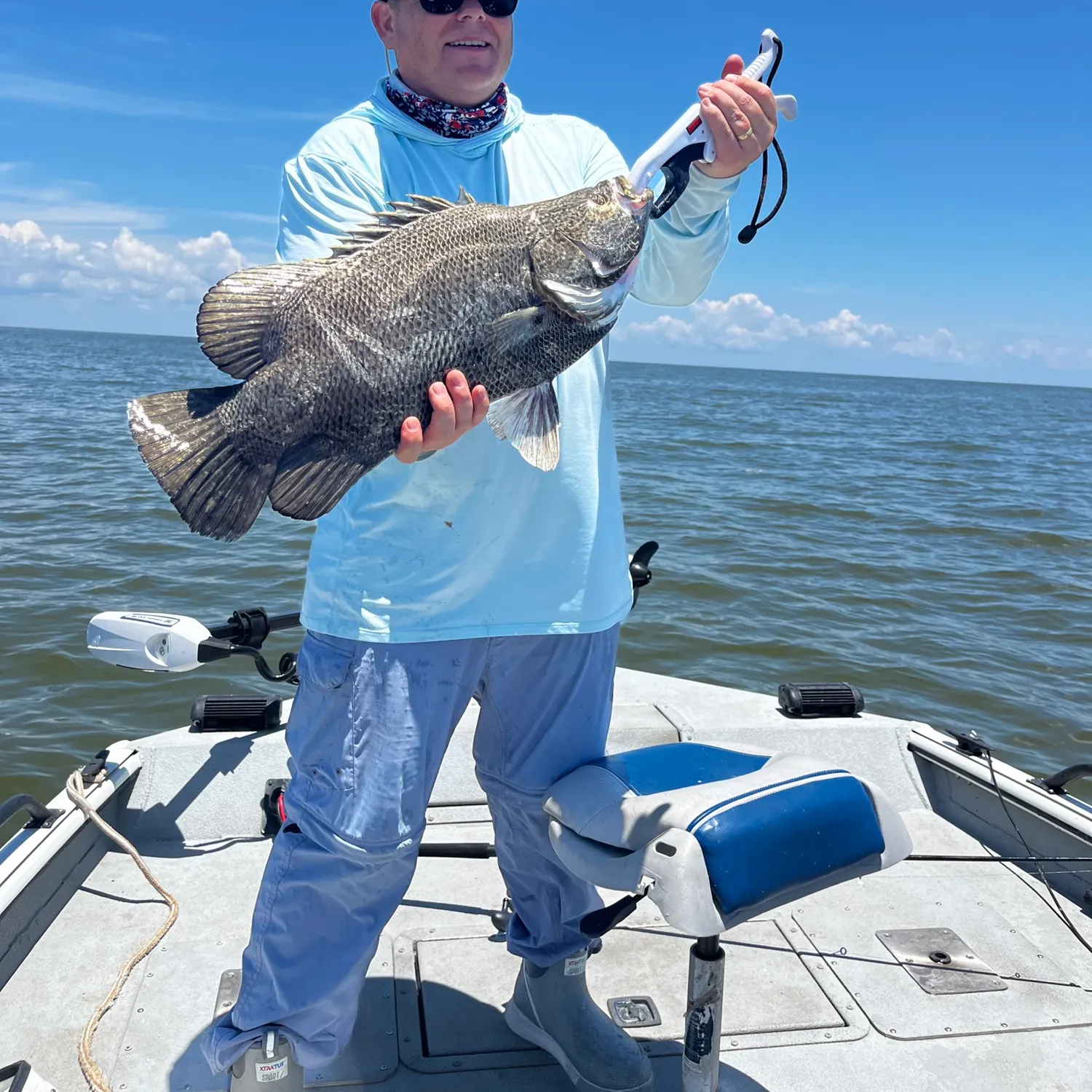 The most recent Atlantic tripletail catches on Fishbrain
