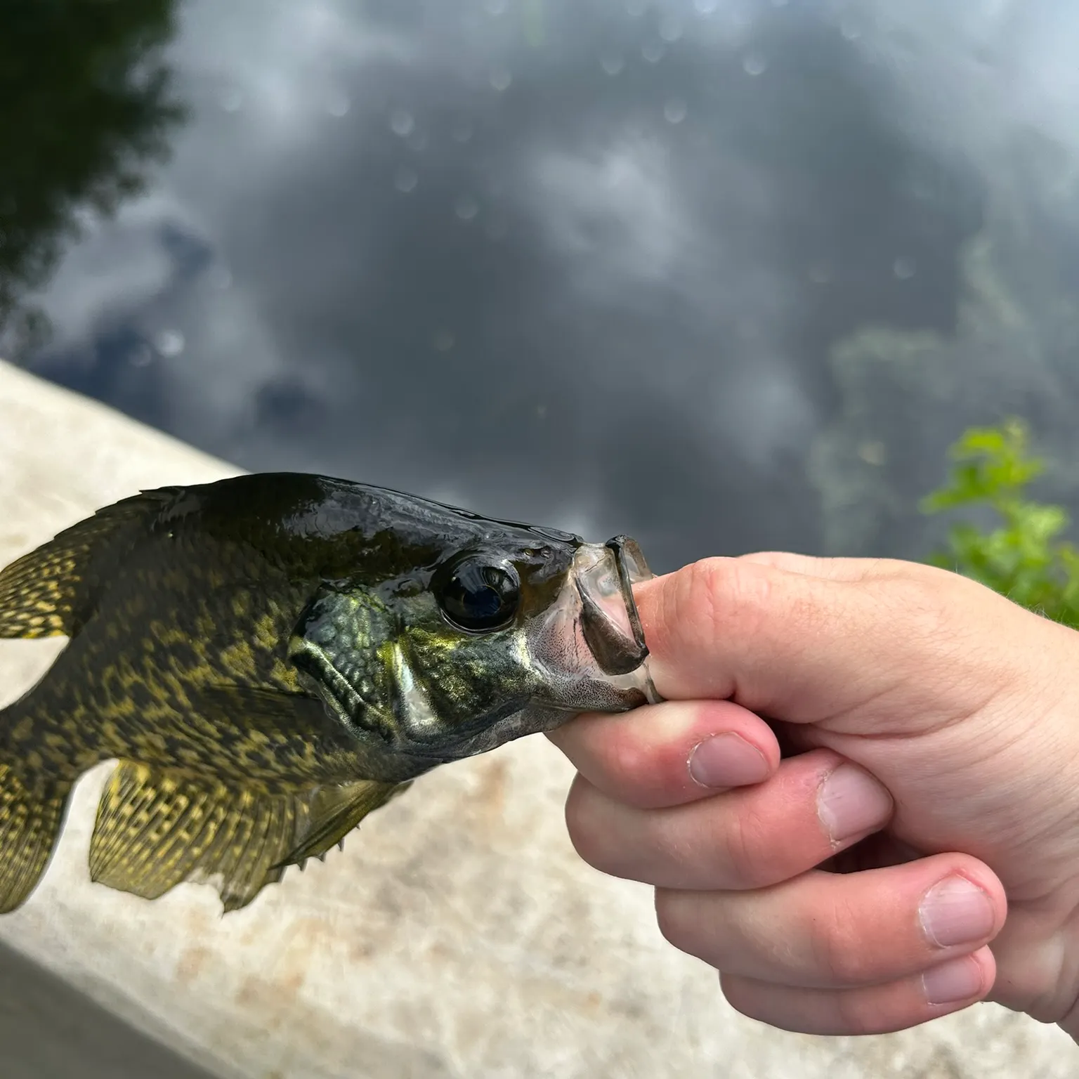 catch