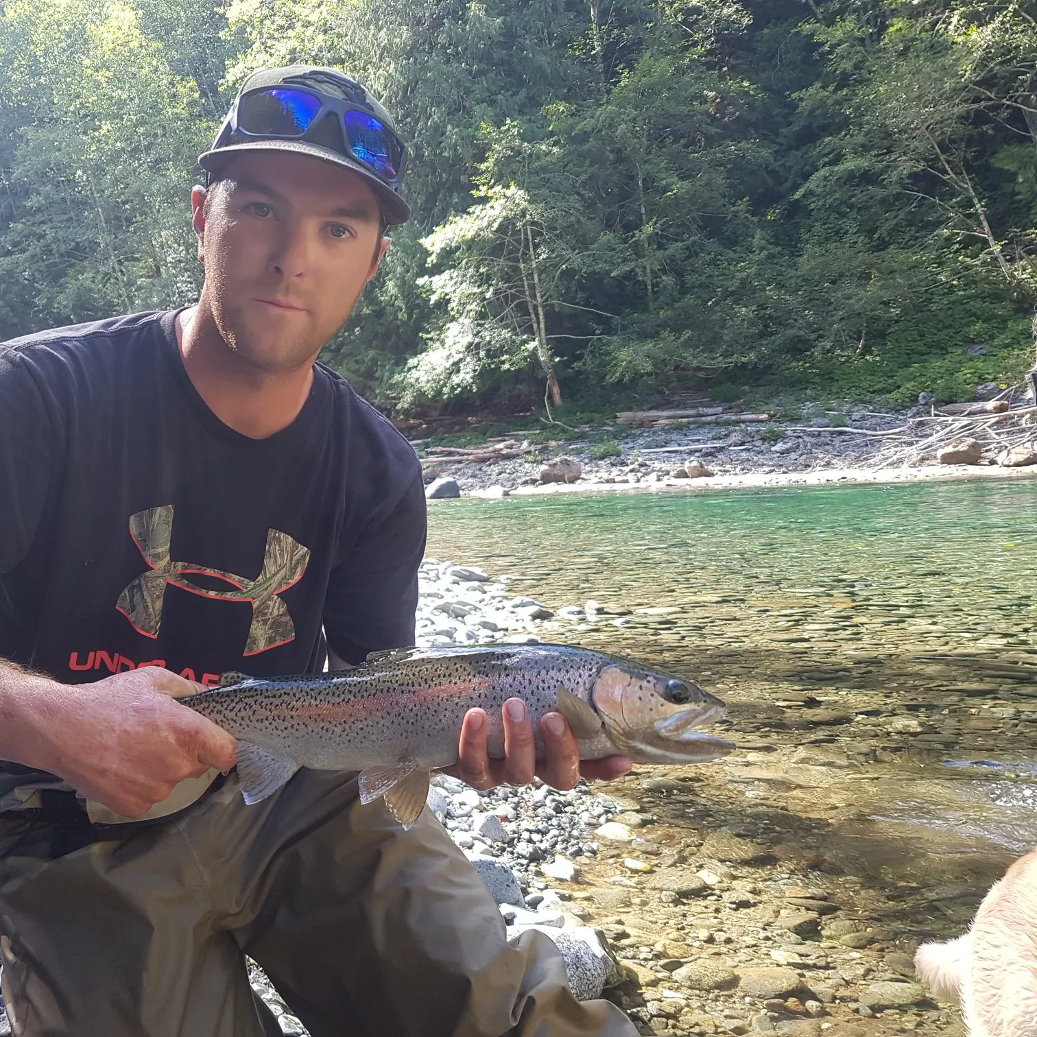 Steelhead caught on Fishbrain