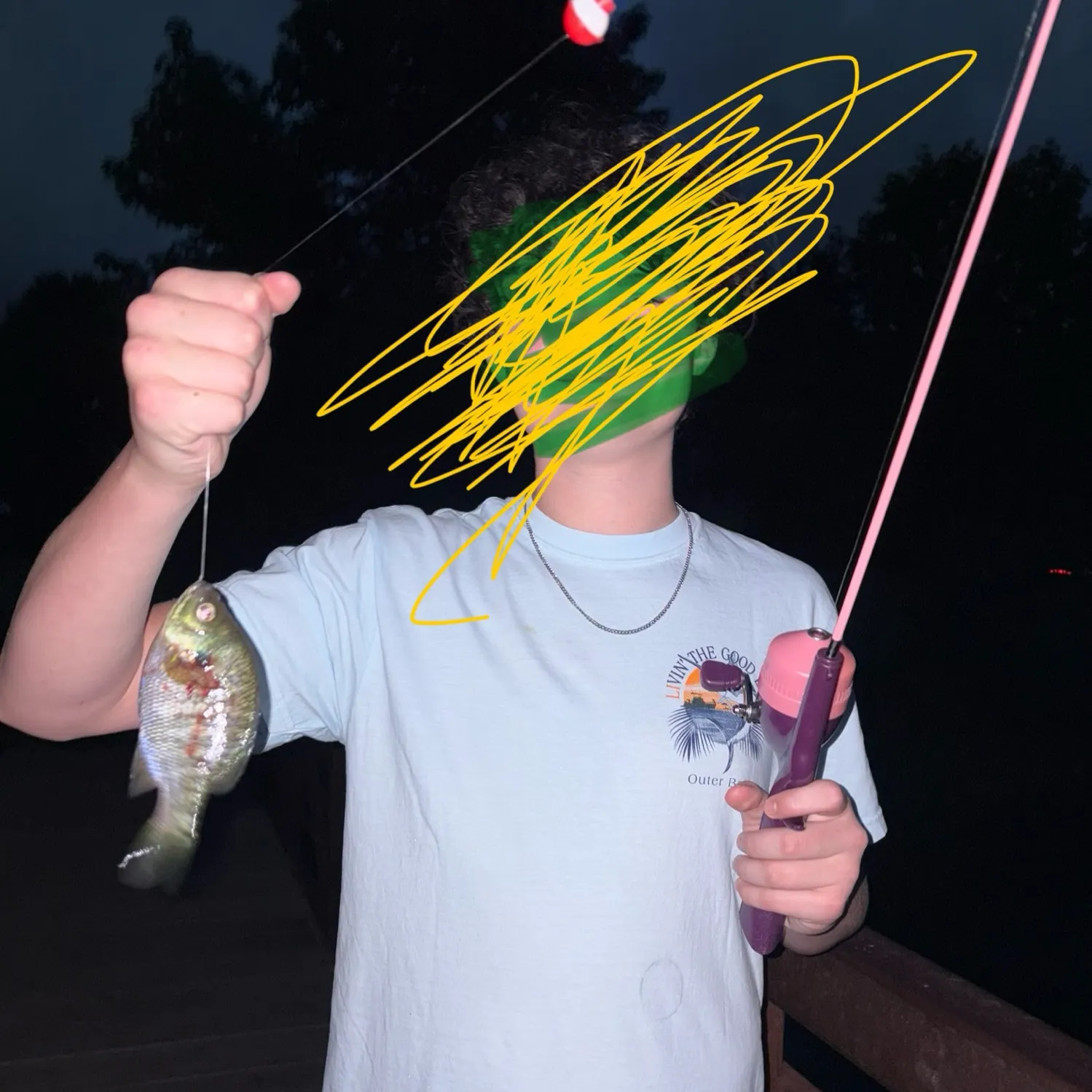 recently logged catches