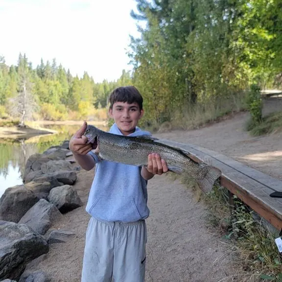 Rainbow trout caught on Fishbrain
