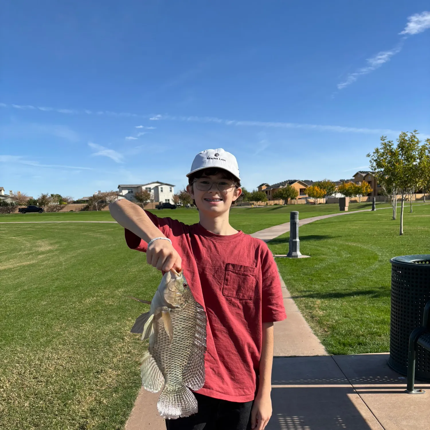 The most recent Nile tilapia catches on Fishbrain