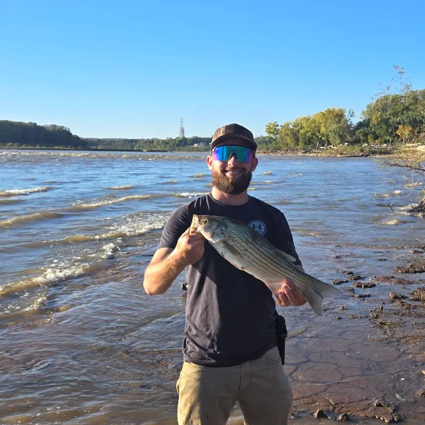 Wiper caught on Fishbrain
