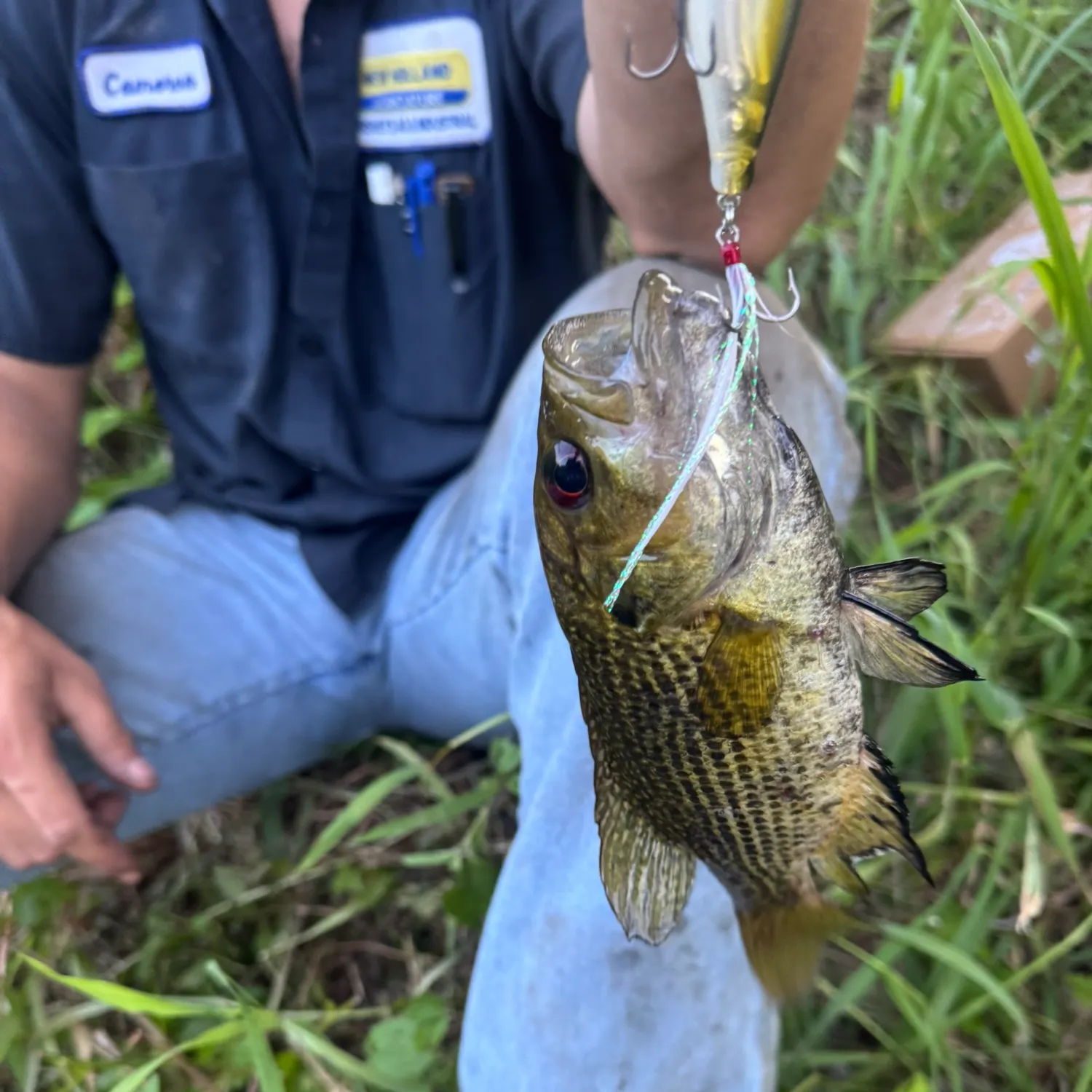 catch