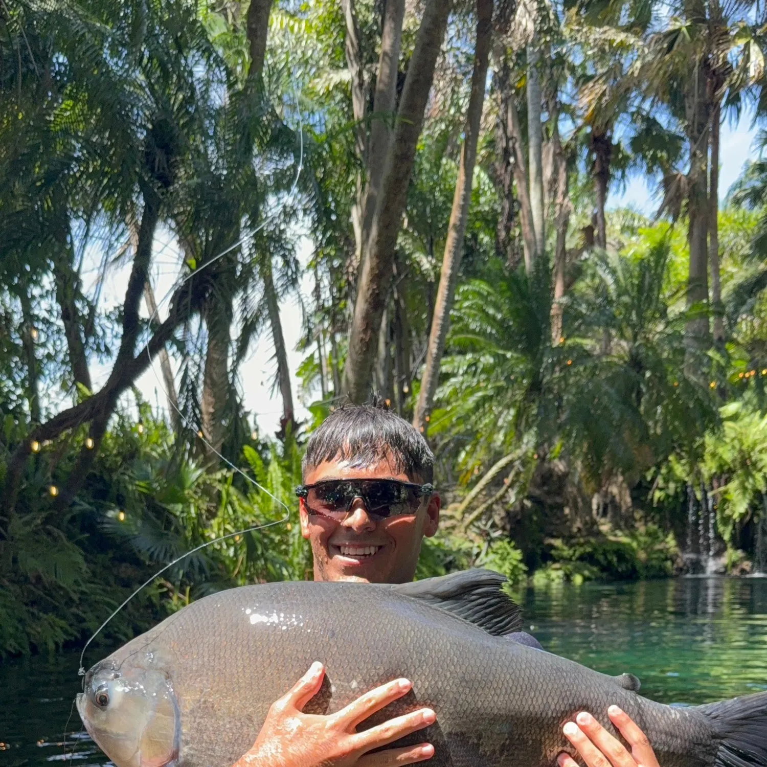The most recent Black pacu catches on Fishbrain