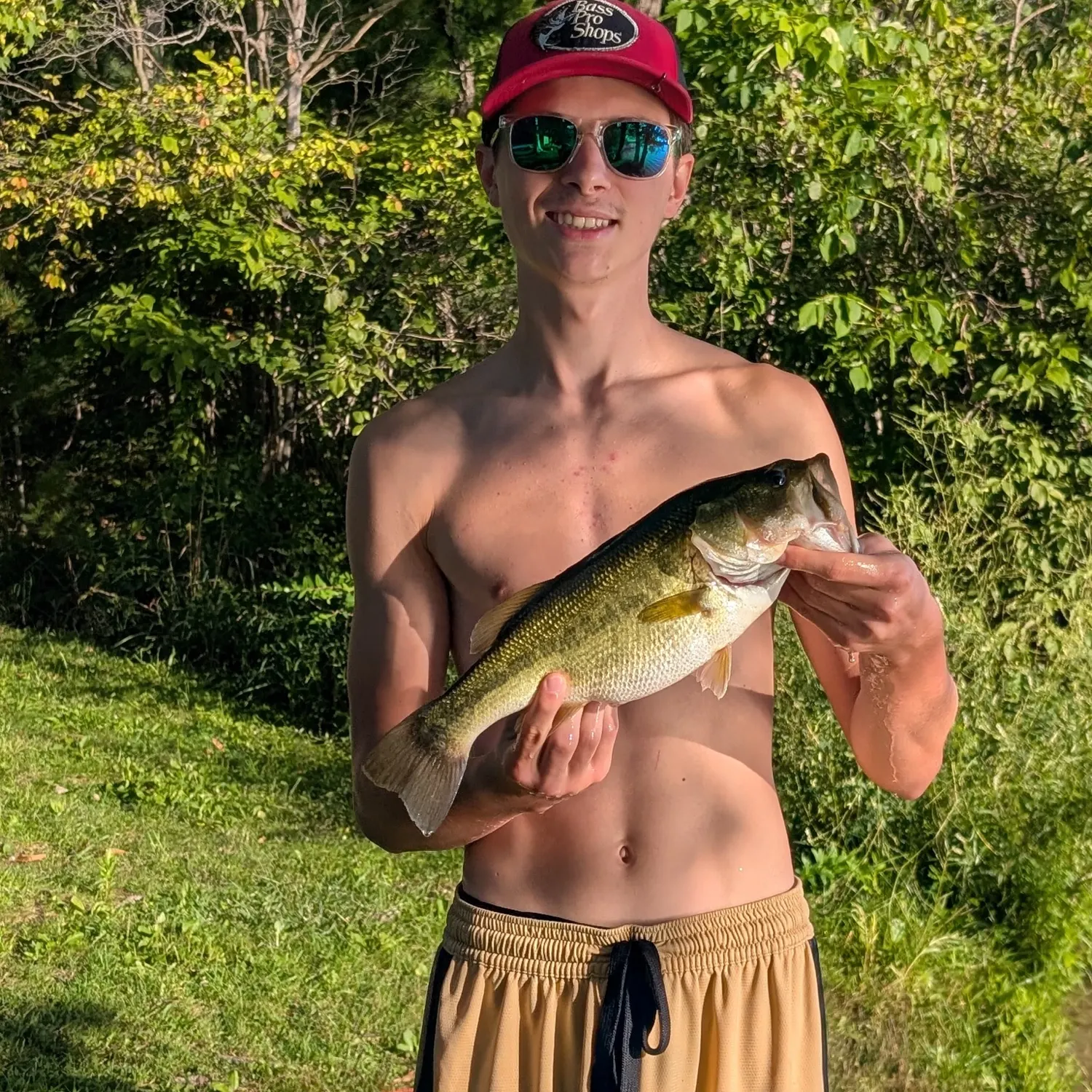 Largemouth bass caught on Fishbrain