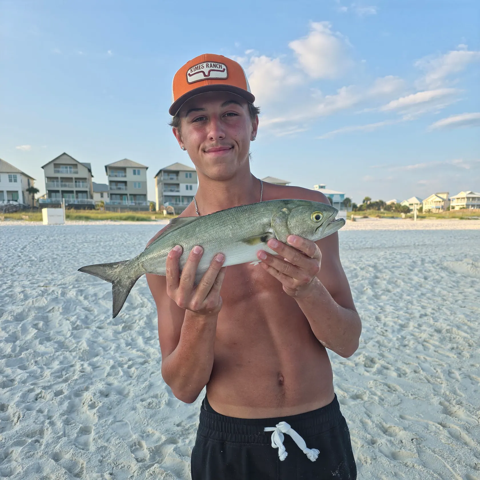 Bluefish caught on Fishbrain