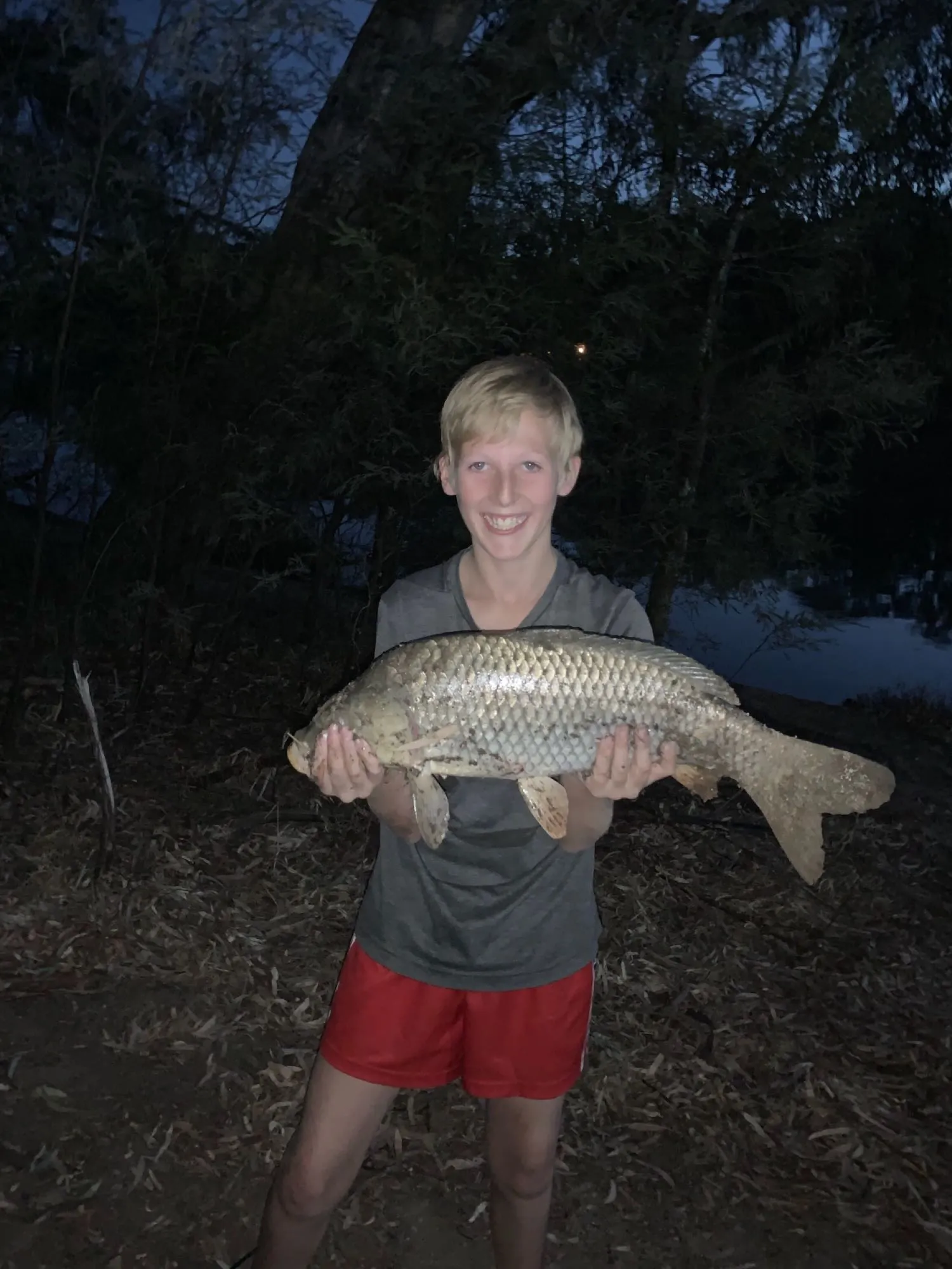 Post image from tristan-roberts