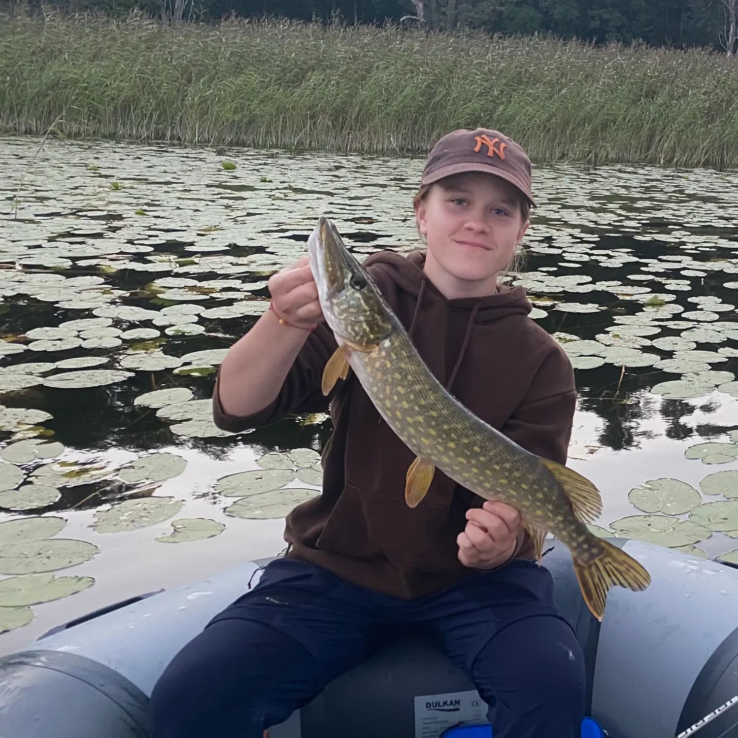 Northern pike caught on Fishbrain