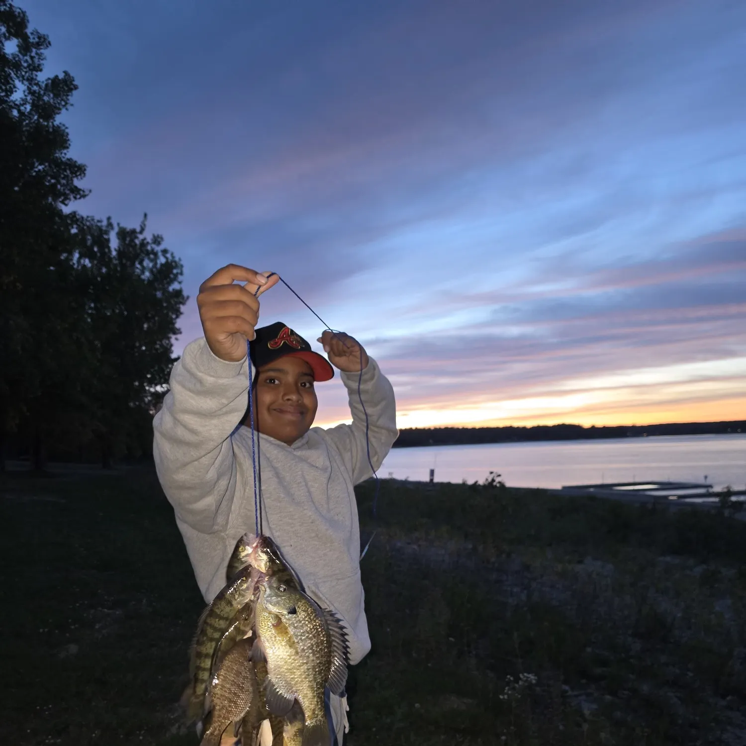 Yellow perch caught on Fishbrain