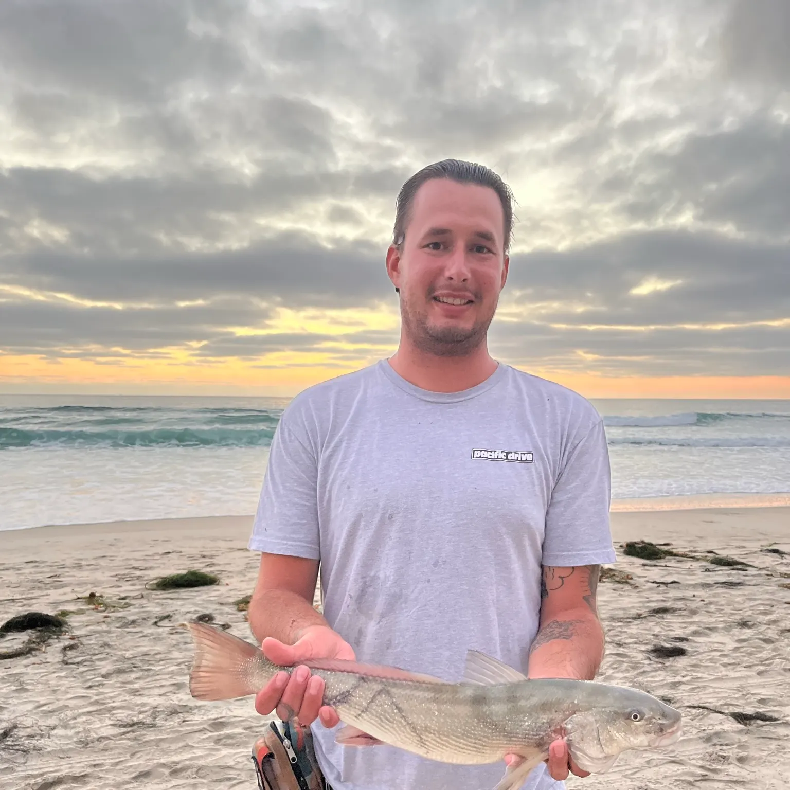 The most recent California corbina catches on Fishbrain