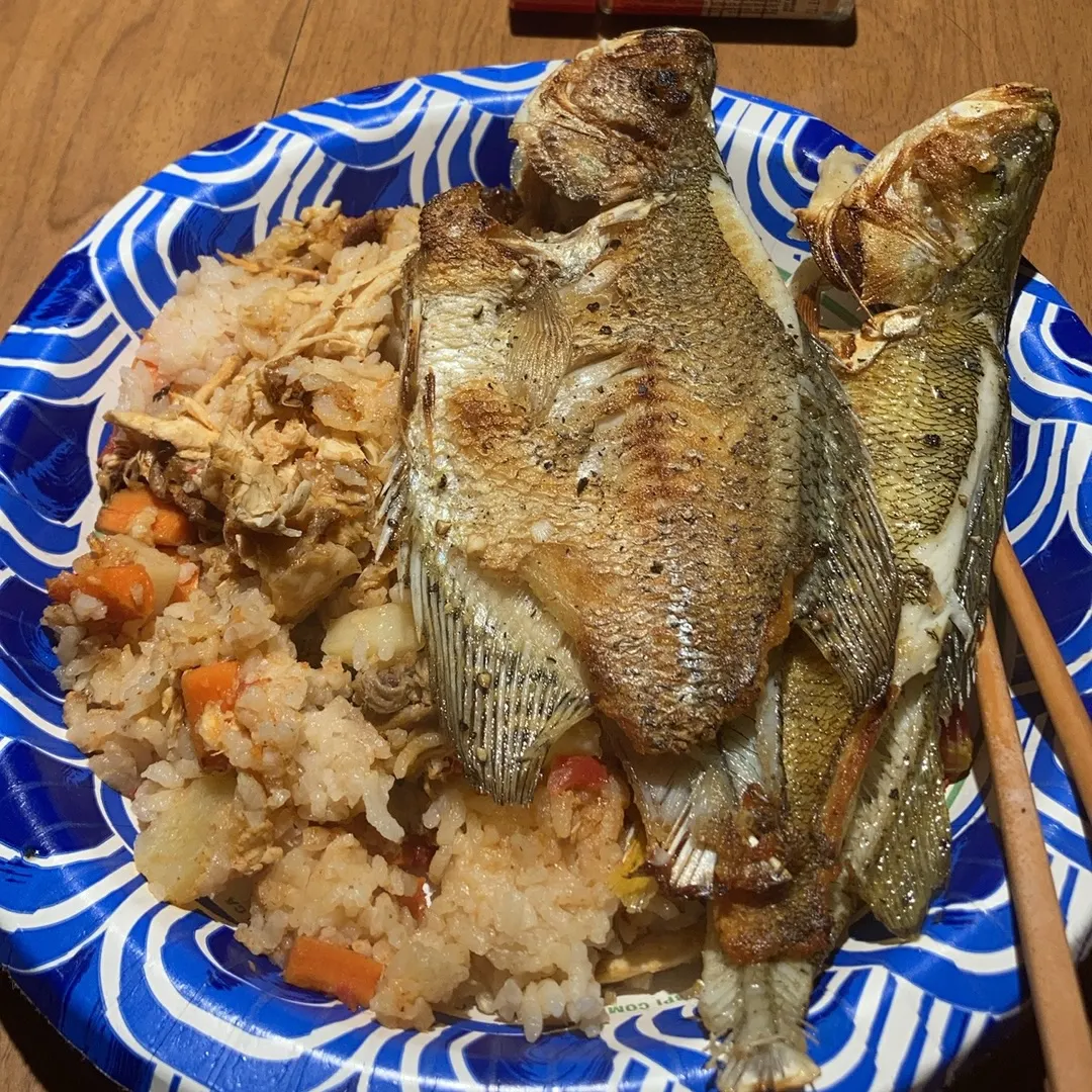 The most recent Black crappie catches on Fishbrain