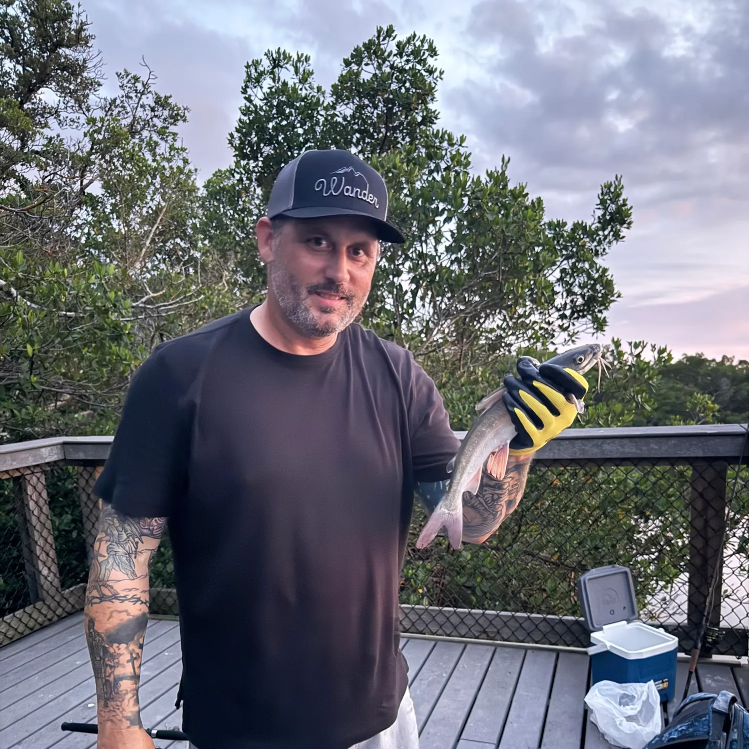 Hardhead sea catfish caught on Fishbrain