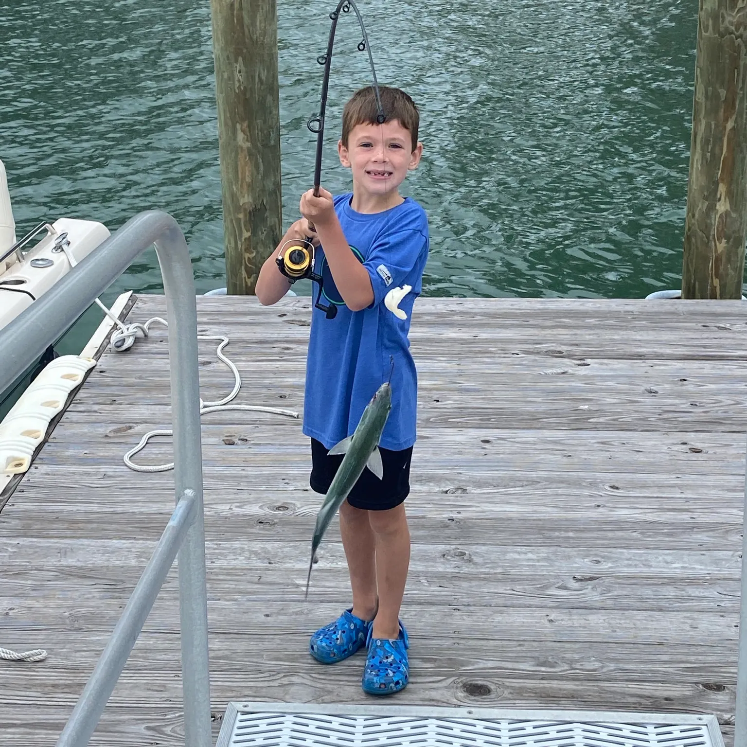 The most recent Inshore lizardfish catches on Fishbrain