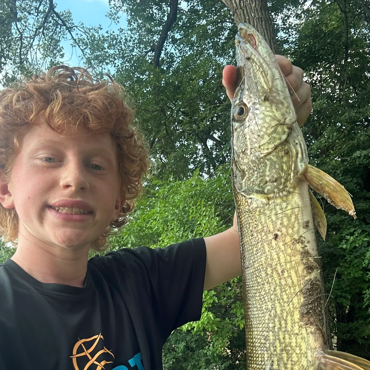 The most recent Northern pike catches on Fishbrain