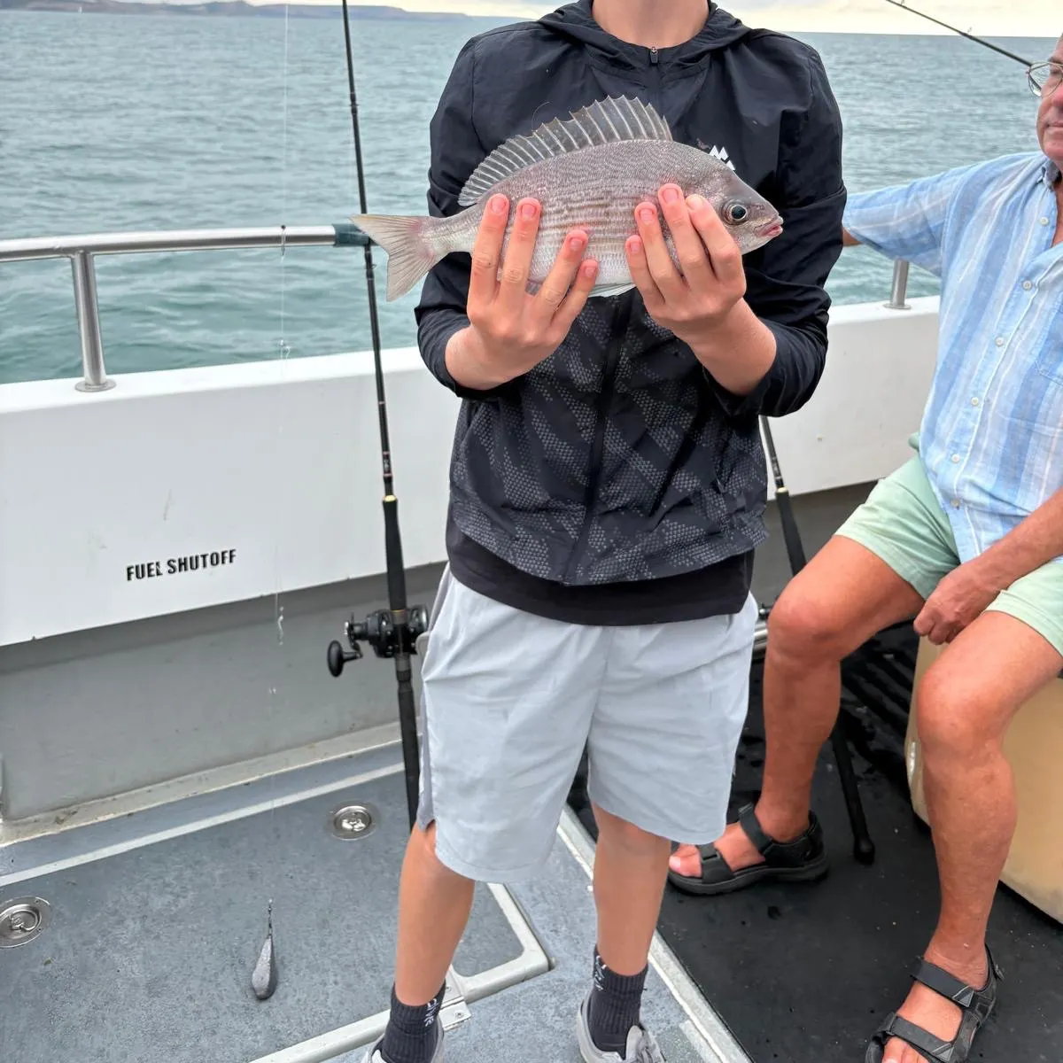 Black seabream caught on Fishbrain