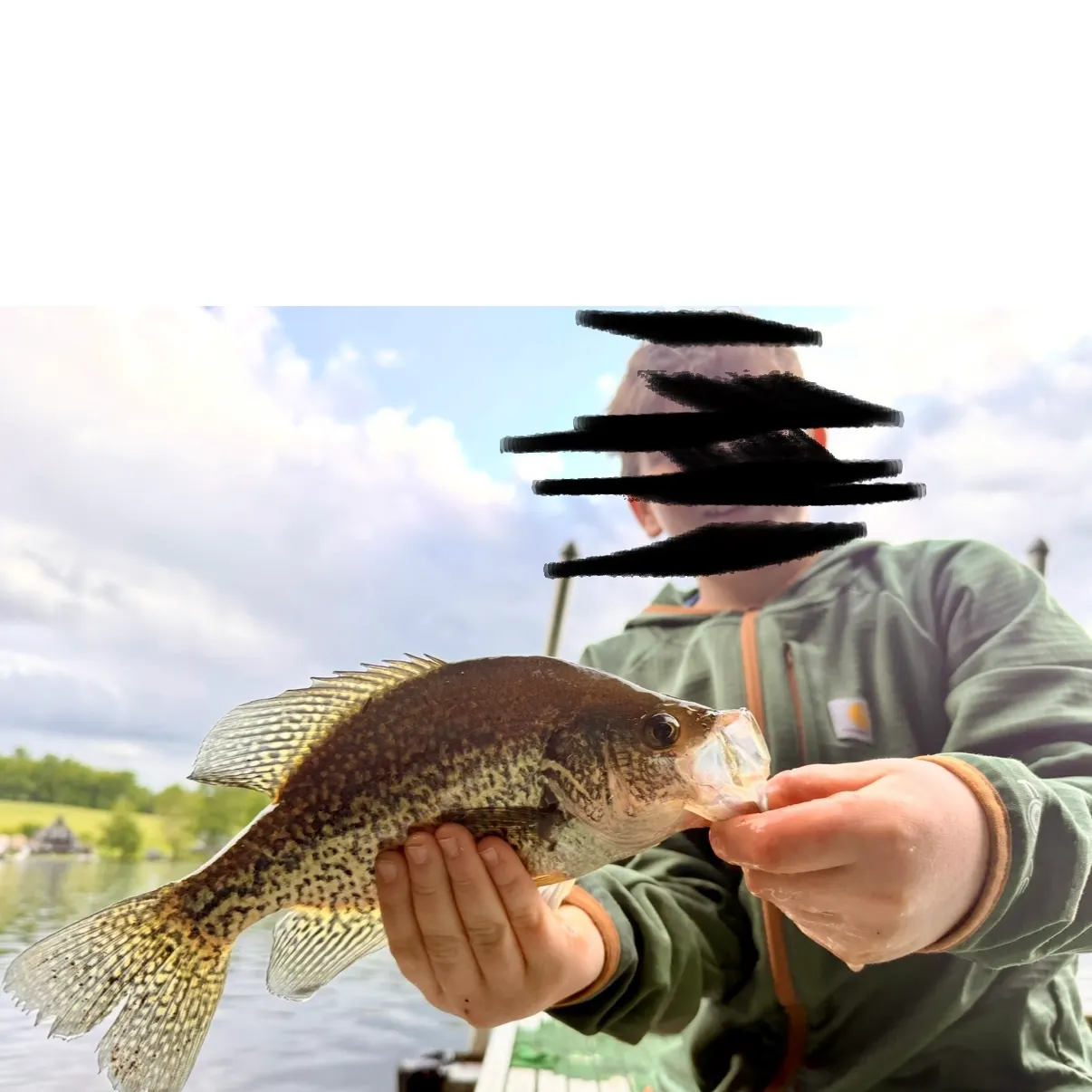 Black crappie caught on Fishbrain