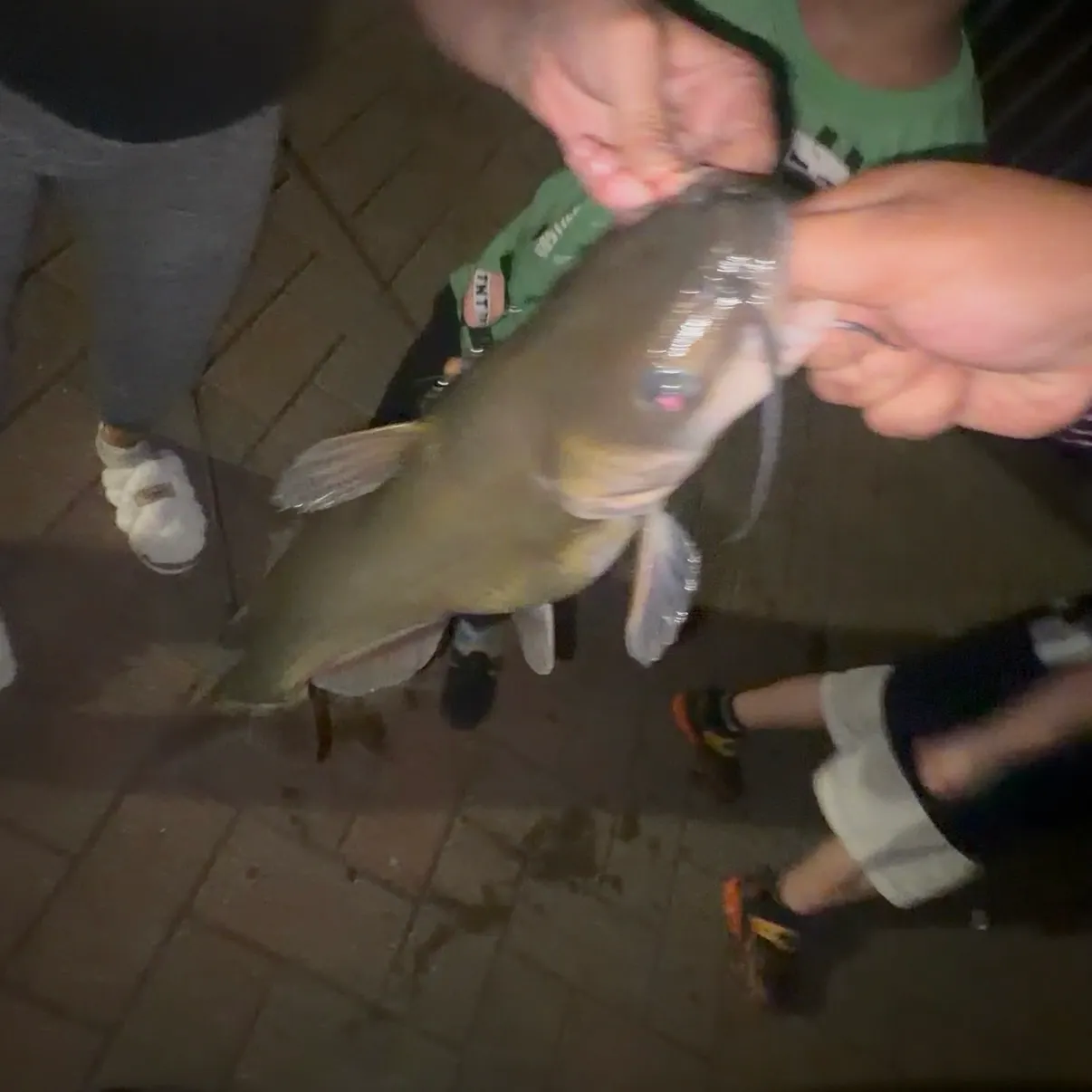 catch