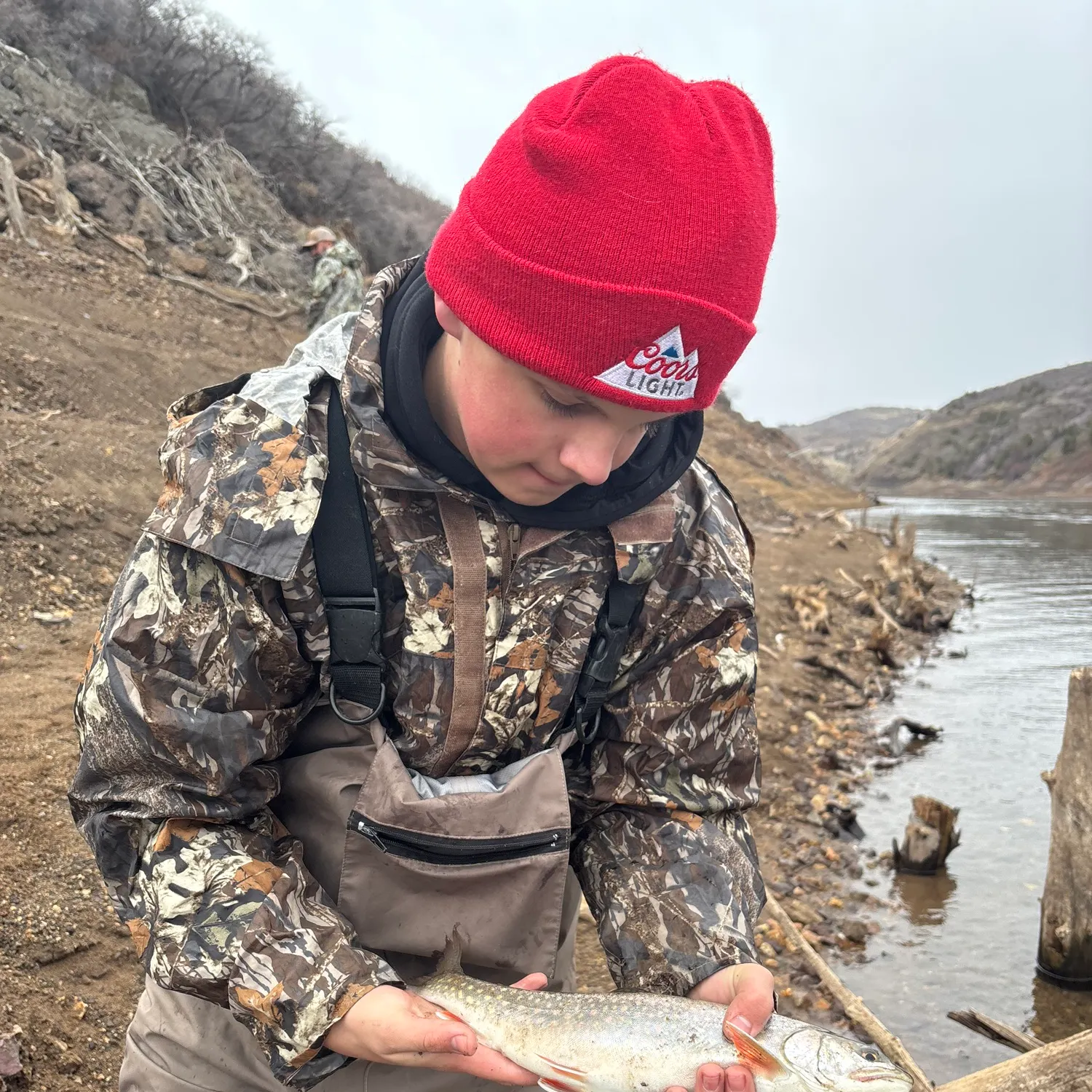 The most recent Splake catches on Fishbrain