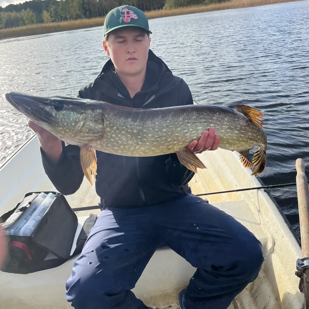 Northern pike caught on Fishbrain