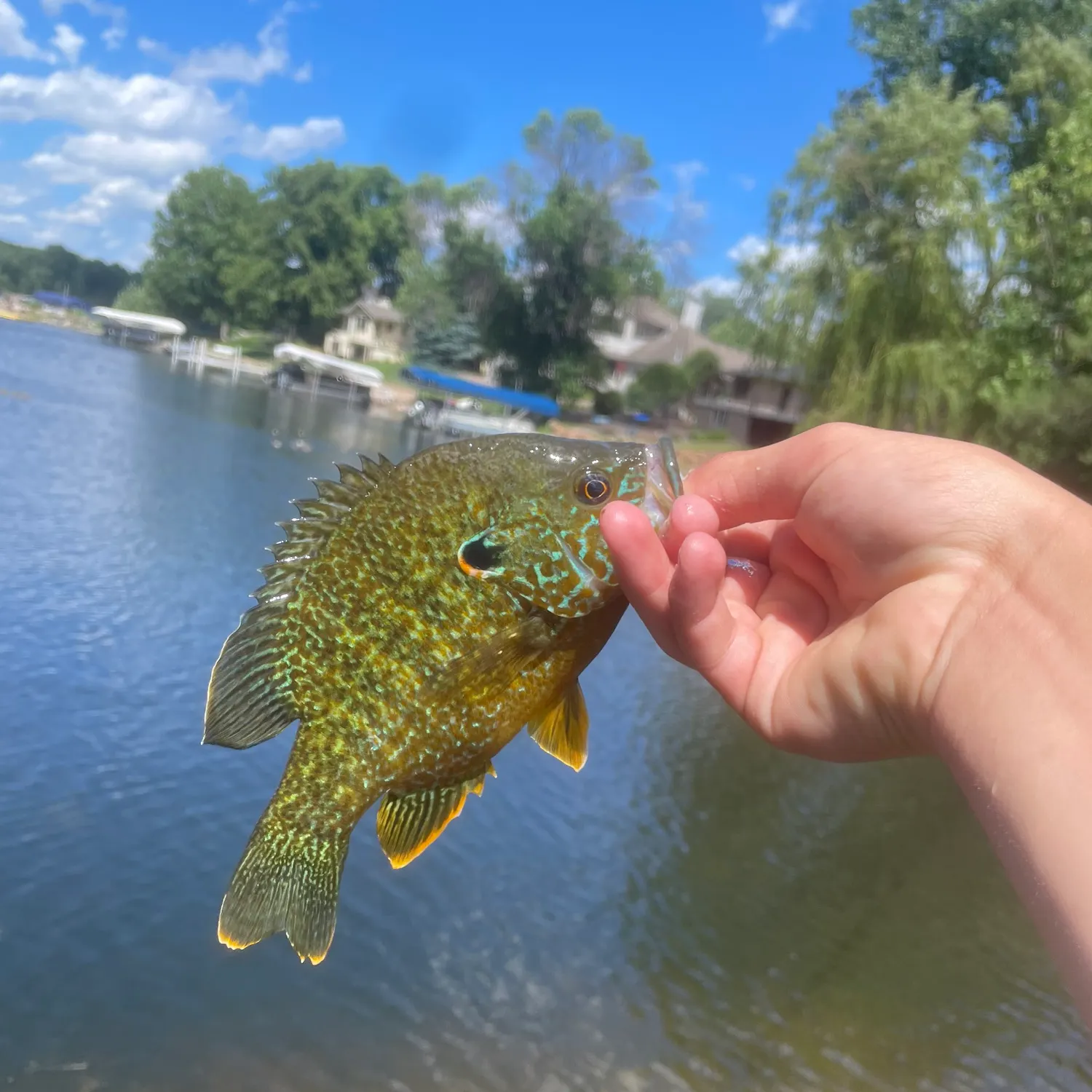 catch