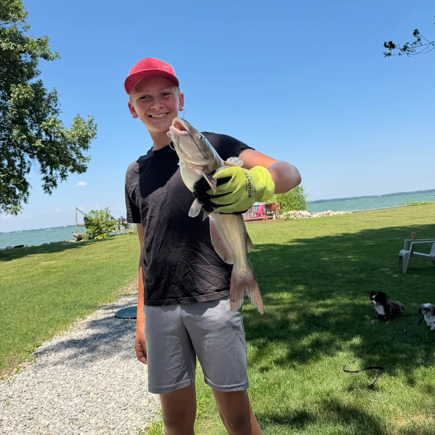 catch