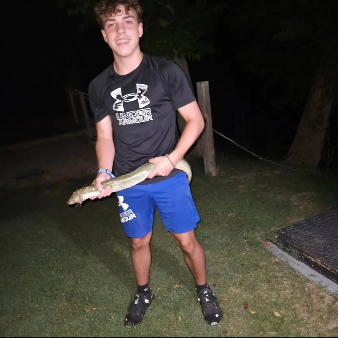 The most recent American eel catches on Fishbrain