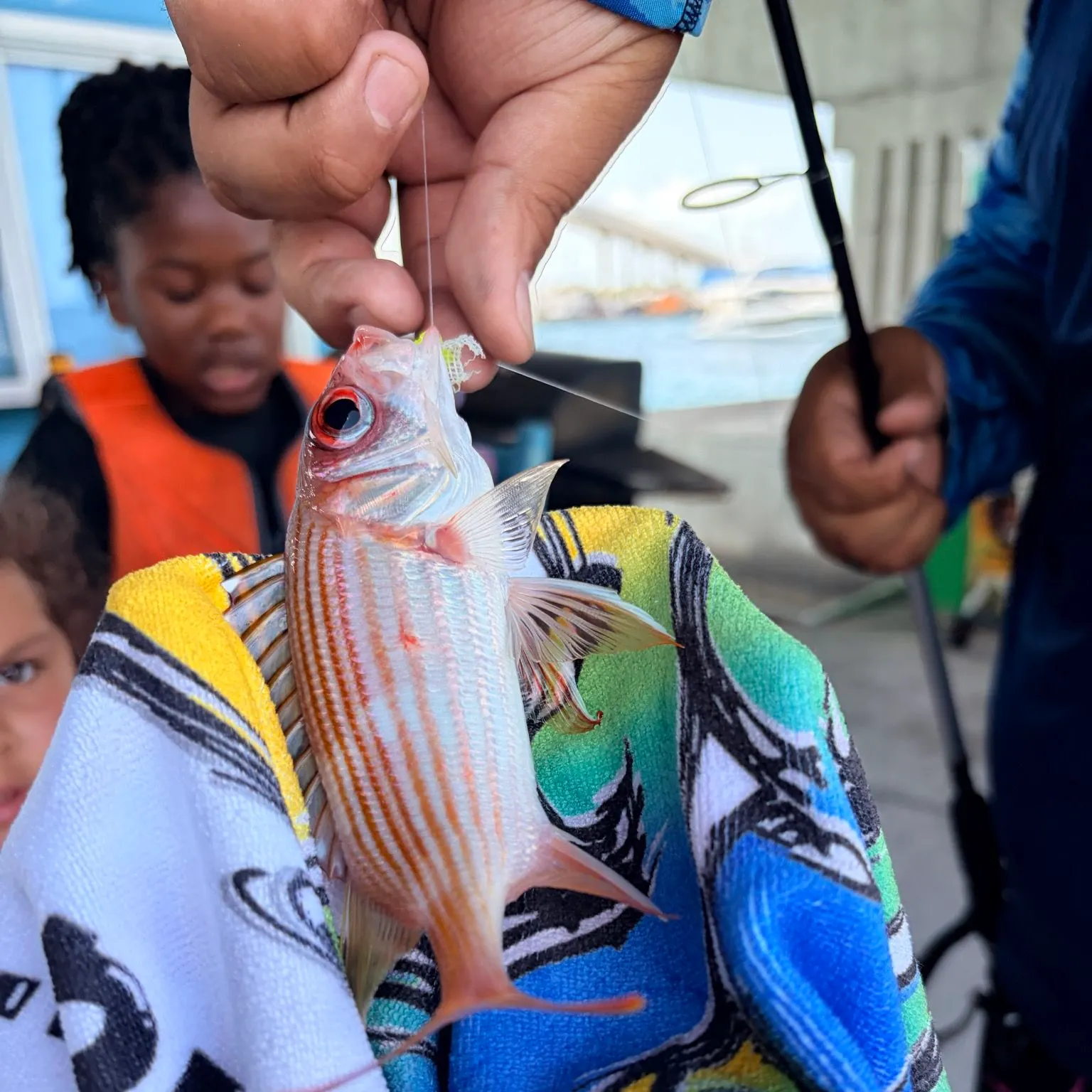 The most recent Red bigeye catches on Fishbrain