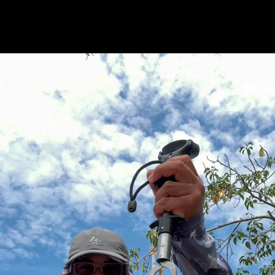 The most recent Tiera batfish catches on Fishbrain