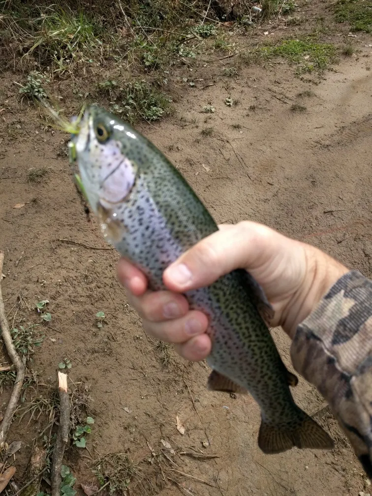 Post image from pdouglas442