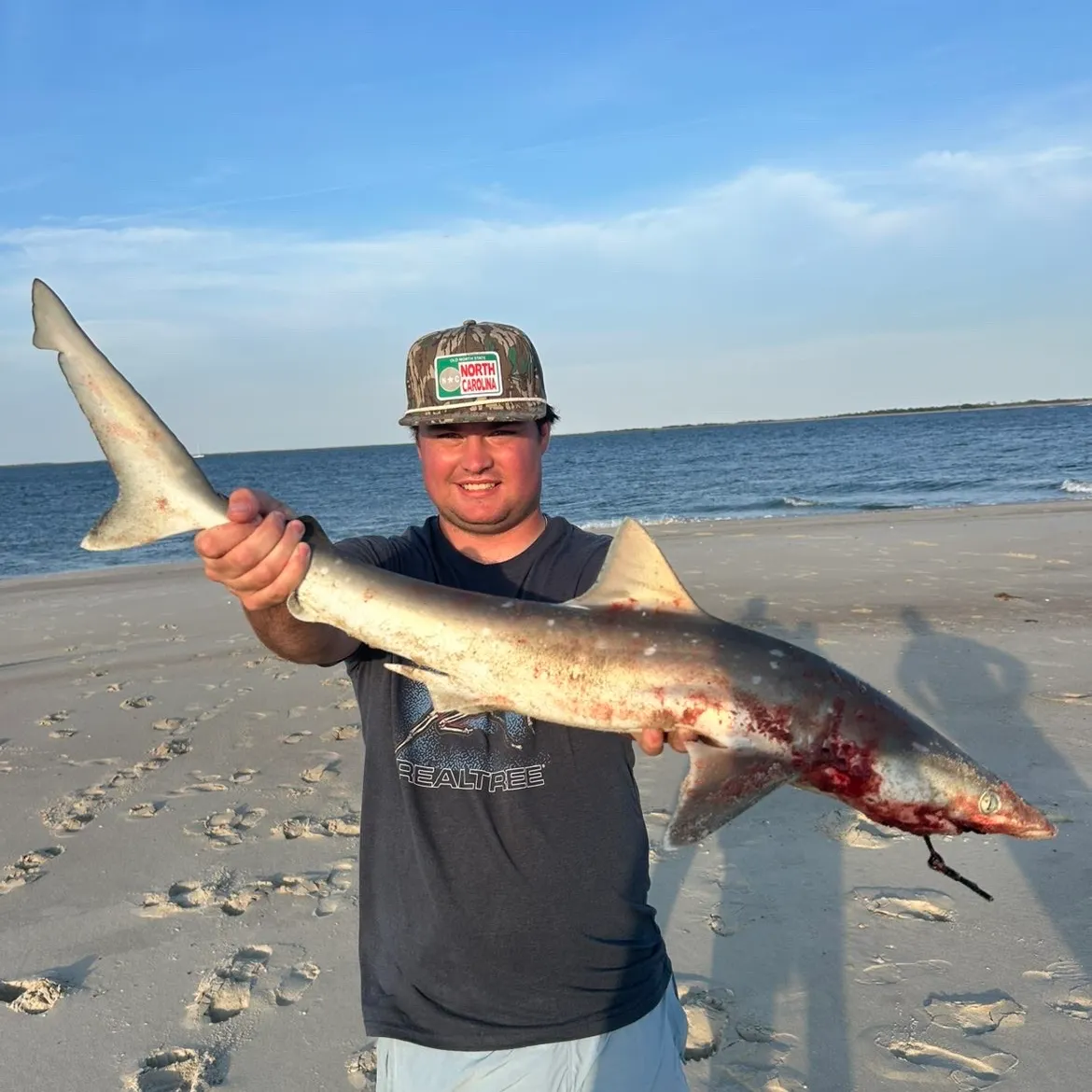The most recent Spinner shark catches on Fishbrain