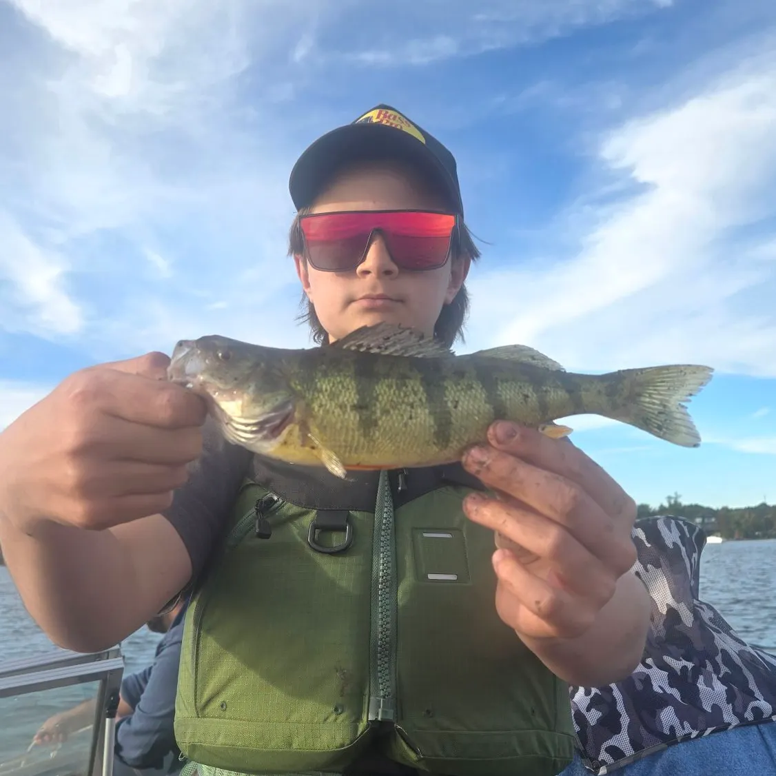 Yellow perch caught on Fishbrain