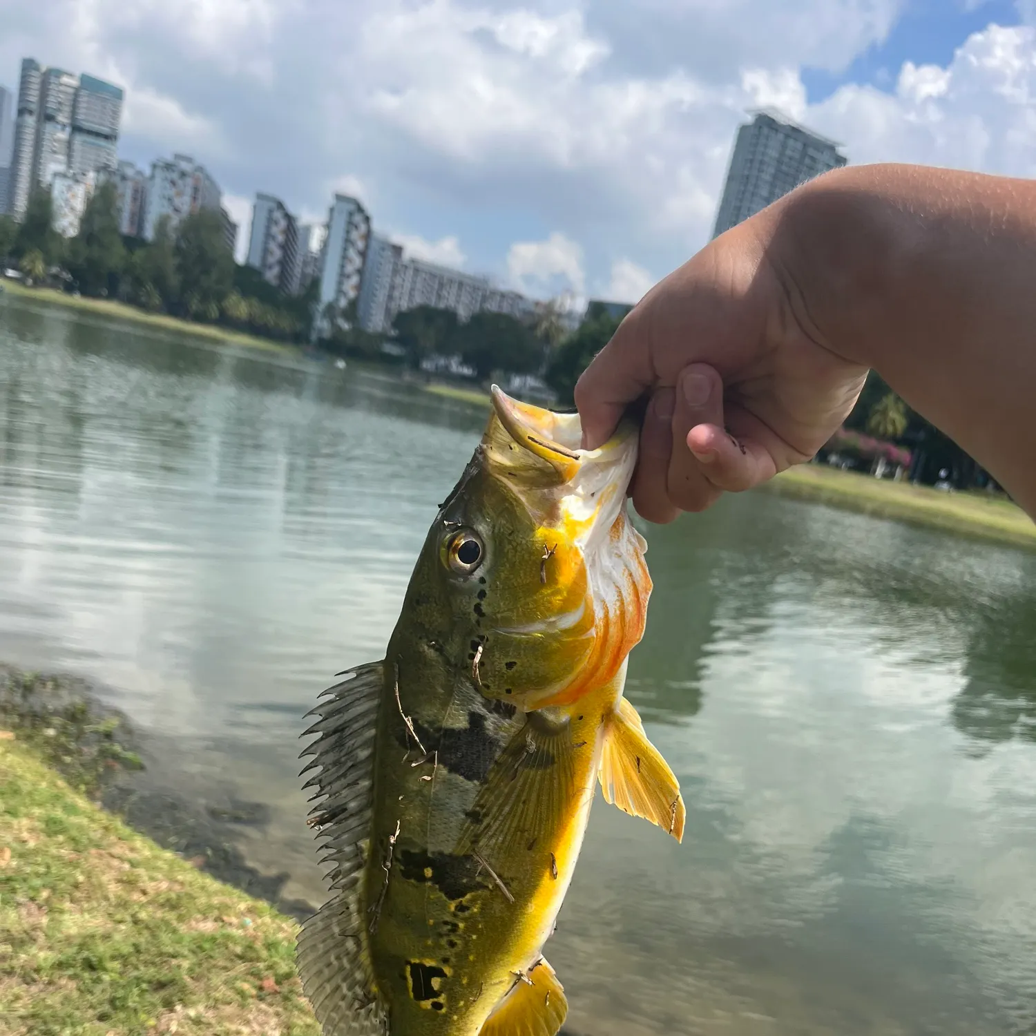 catch