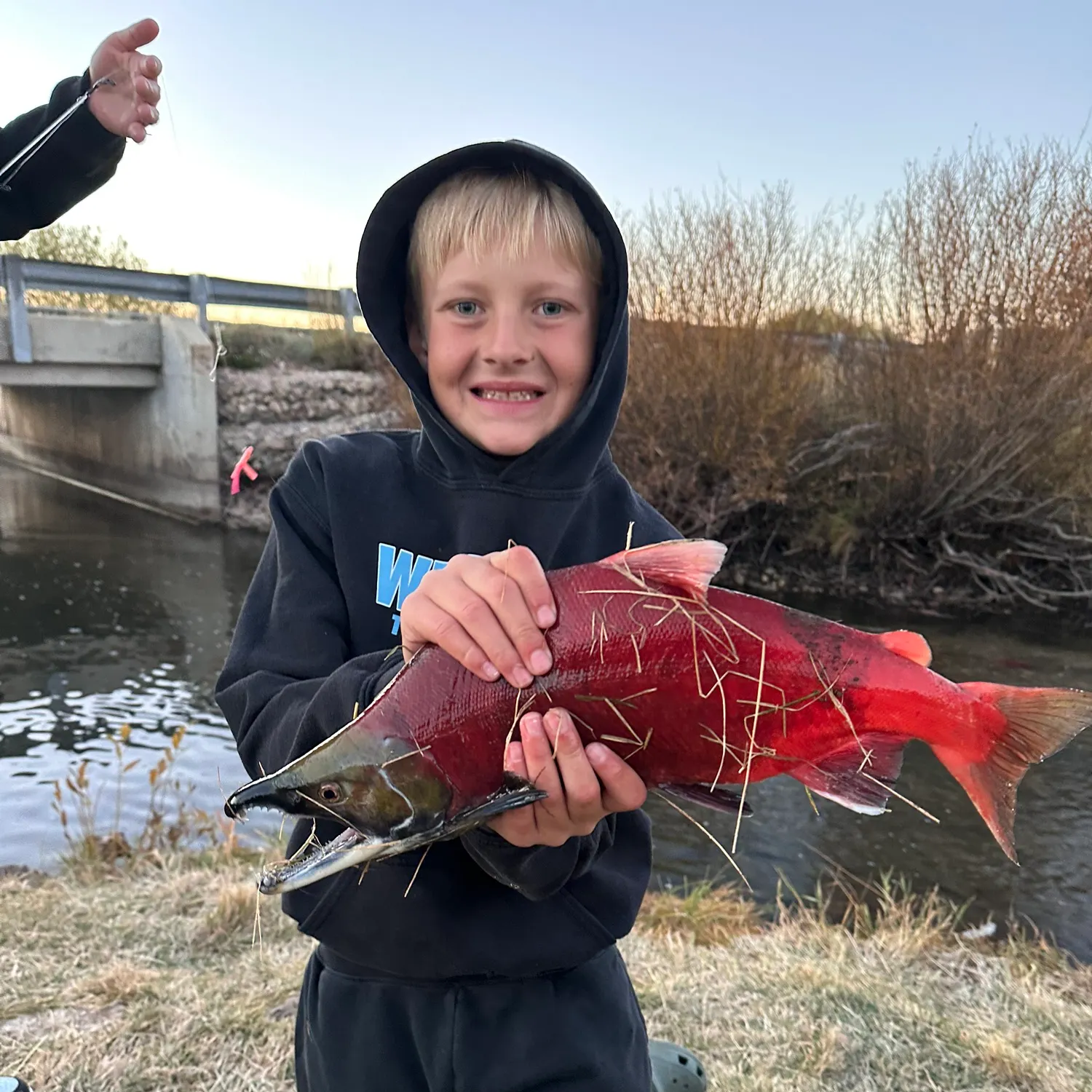 Kokanee salmon caught on Fishbrain