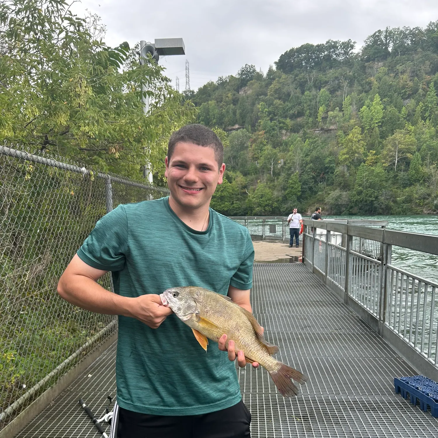 Freshwater drum caught on Fishbrain