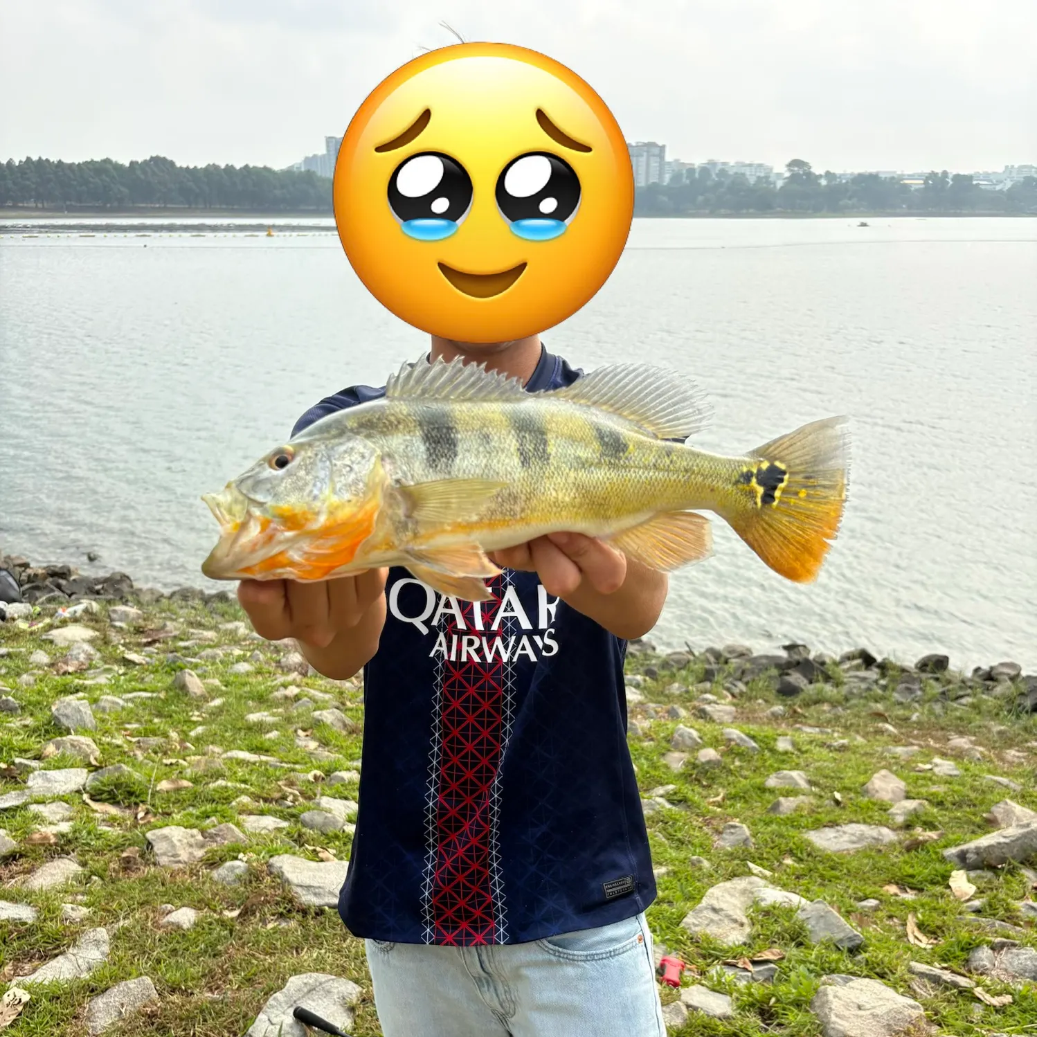 The most recent Butterfly peacock bass catches on Fishbrain