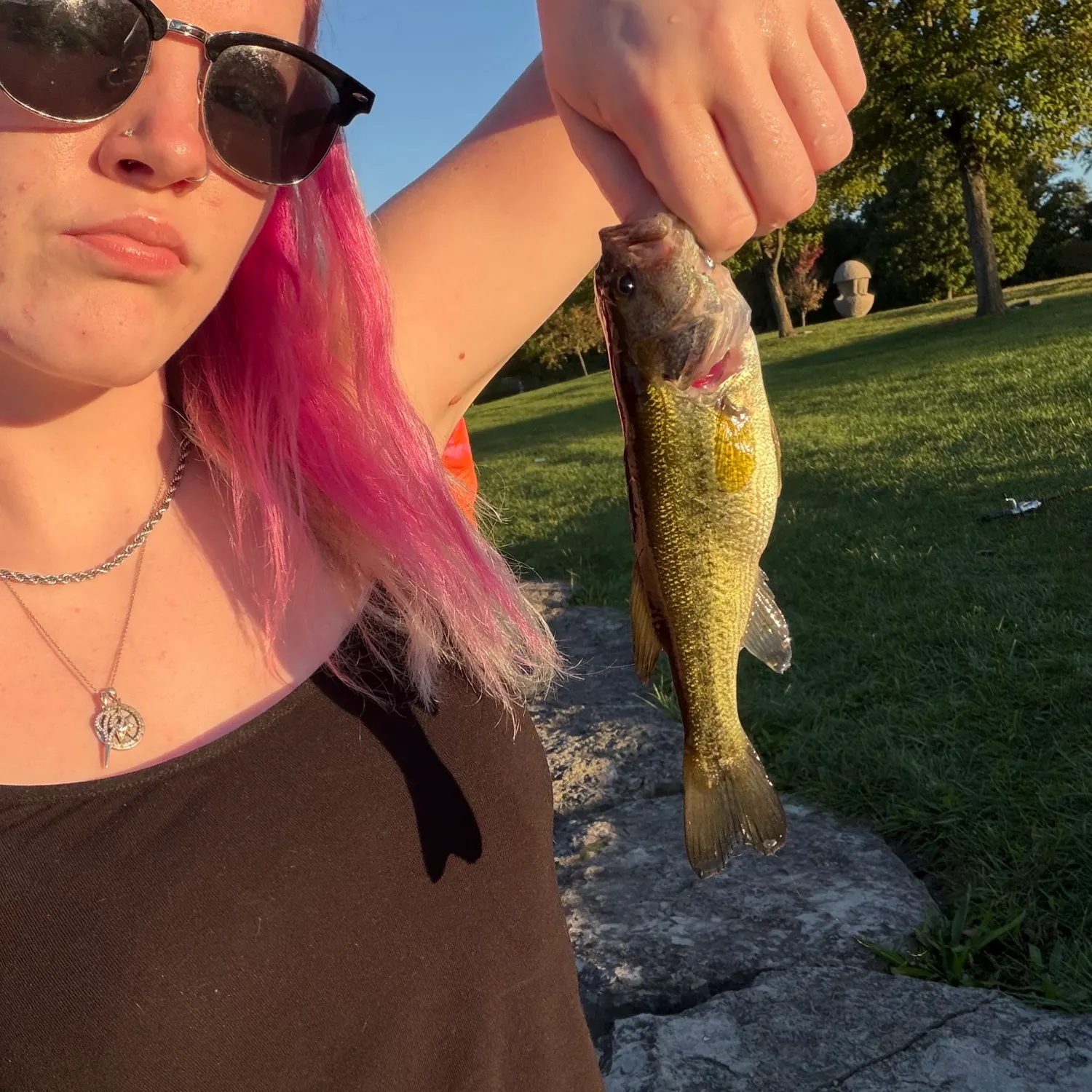 Largemouth bass caught on Fishbrain