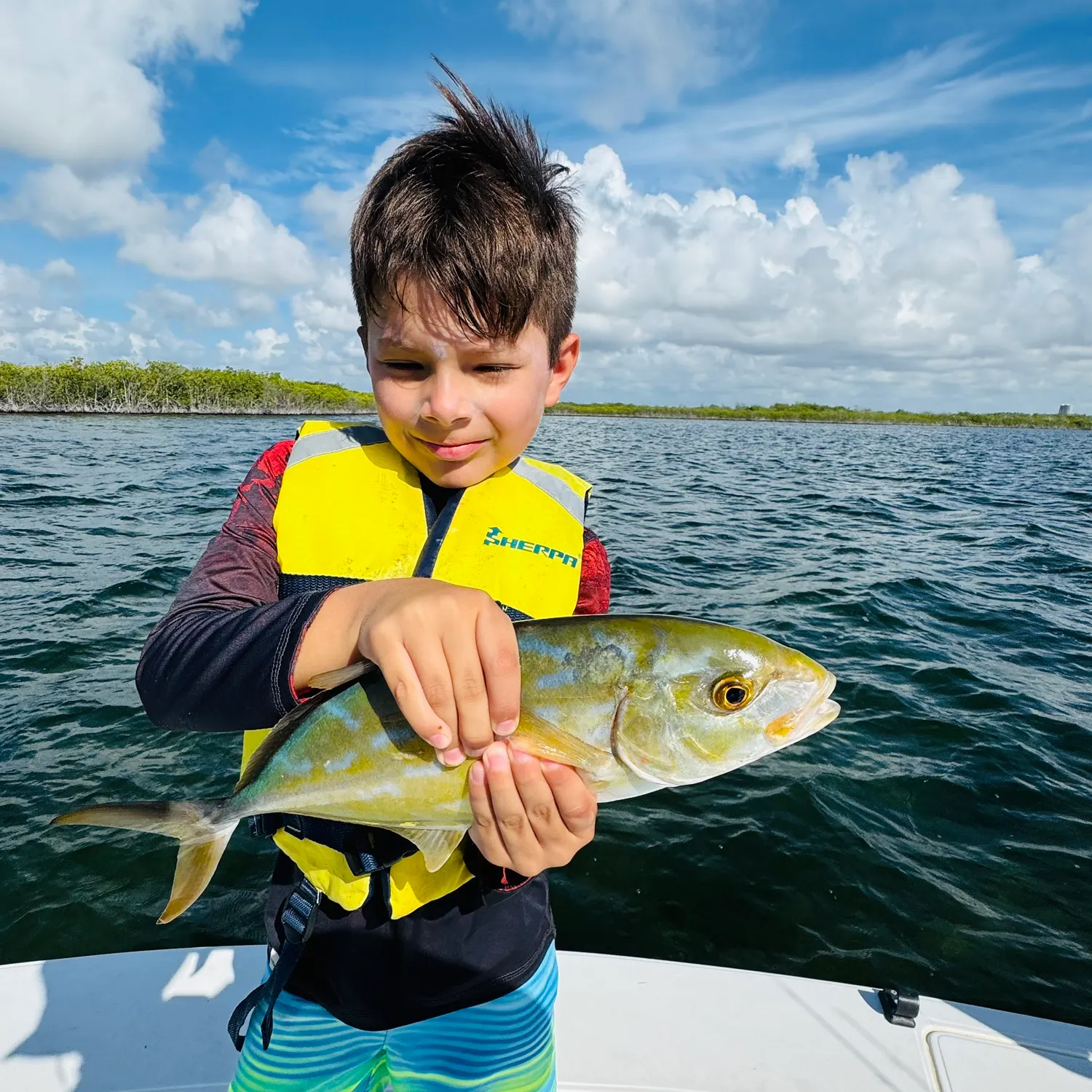 The most recent Barramundi catches on Fishbrain
