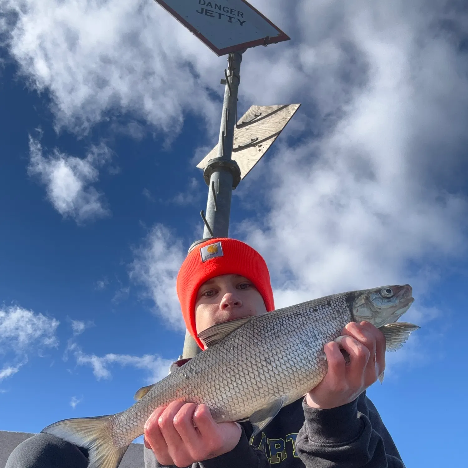 The most recent Lake whitefish catches on Fishbrain