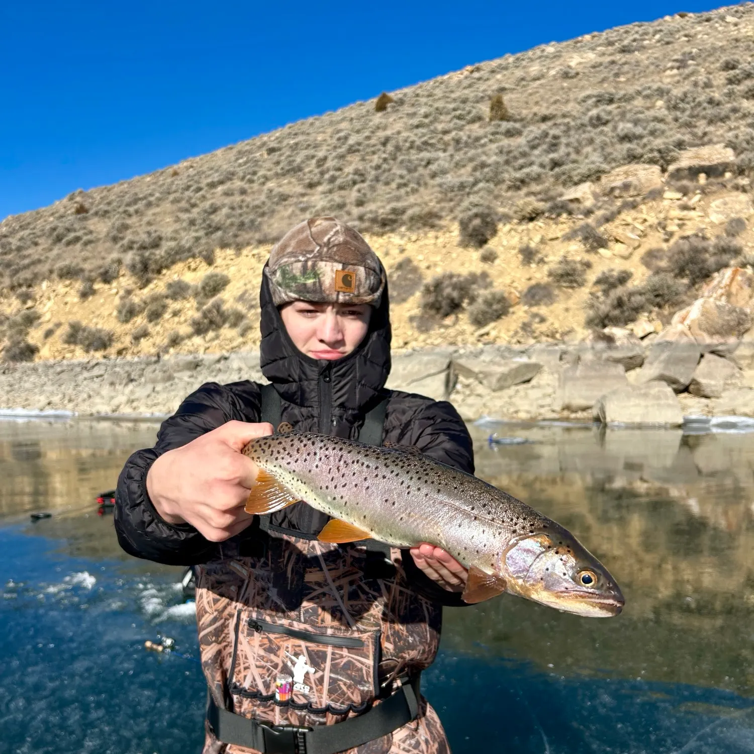 The most recent Bear Lake cutthroat trout catches on Fishbrain