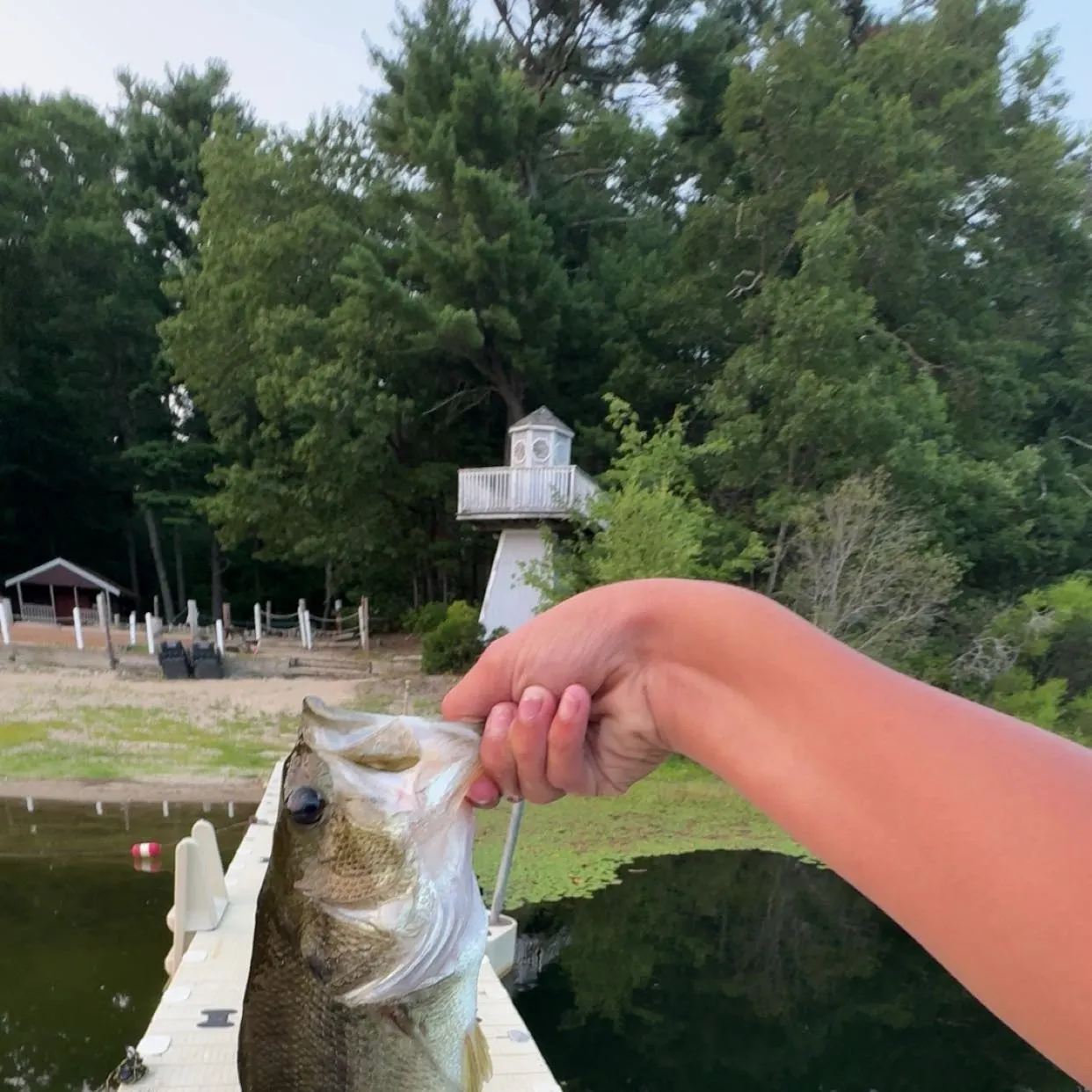 Fish caught on Fishbrain