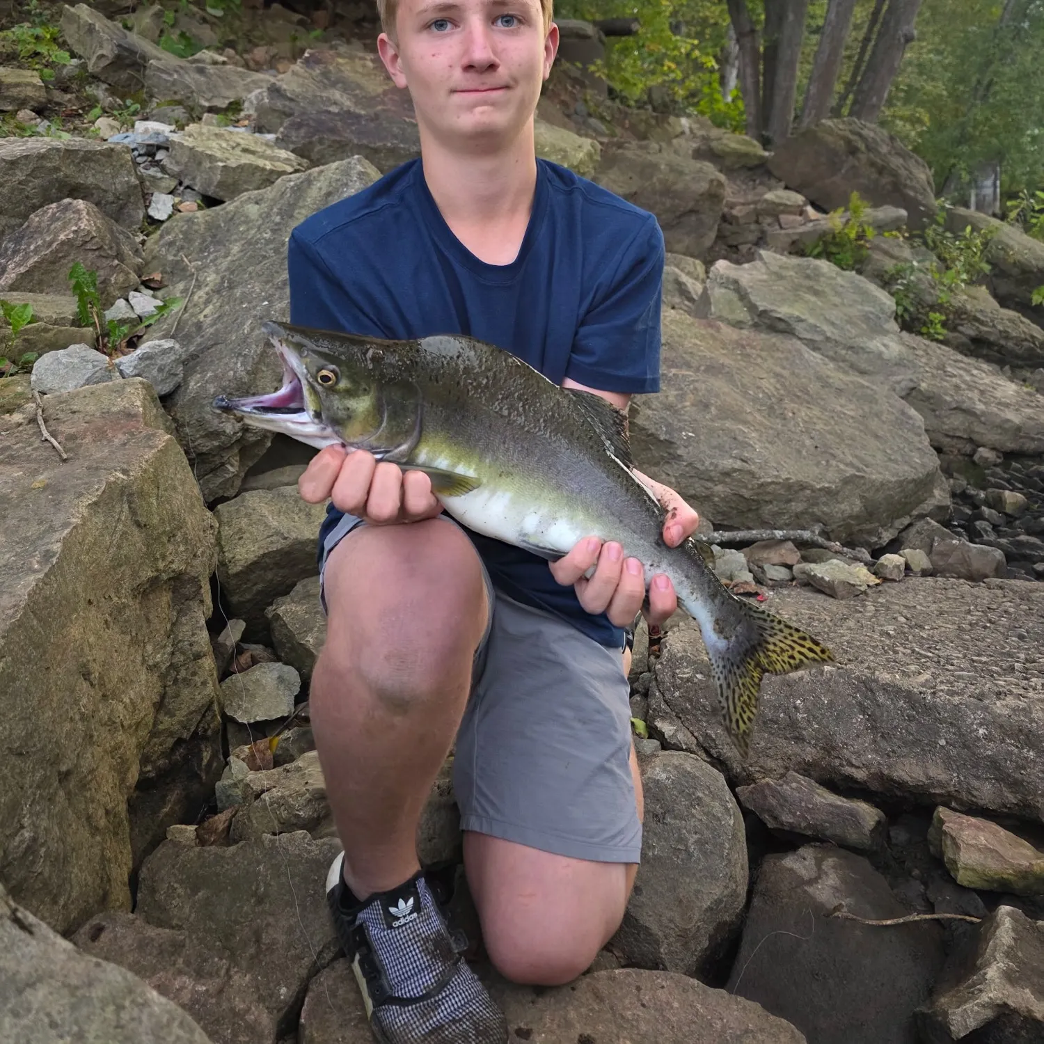 Pink salmon caught on Fishbrain