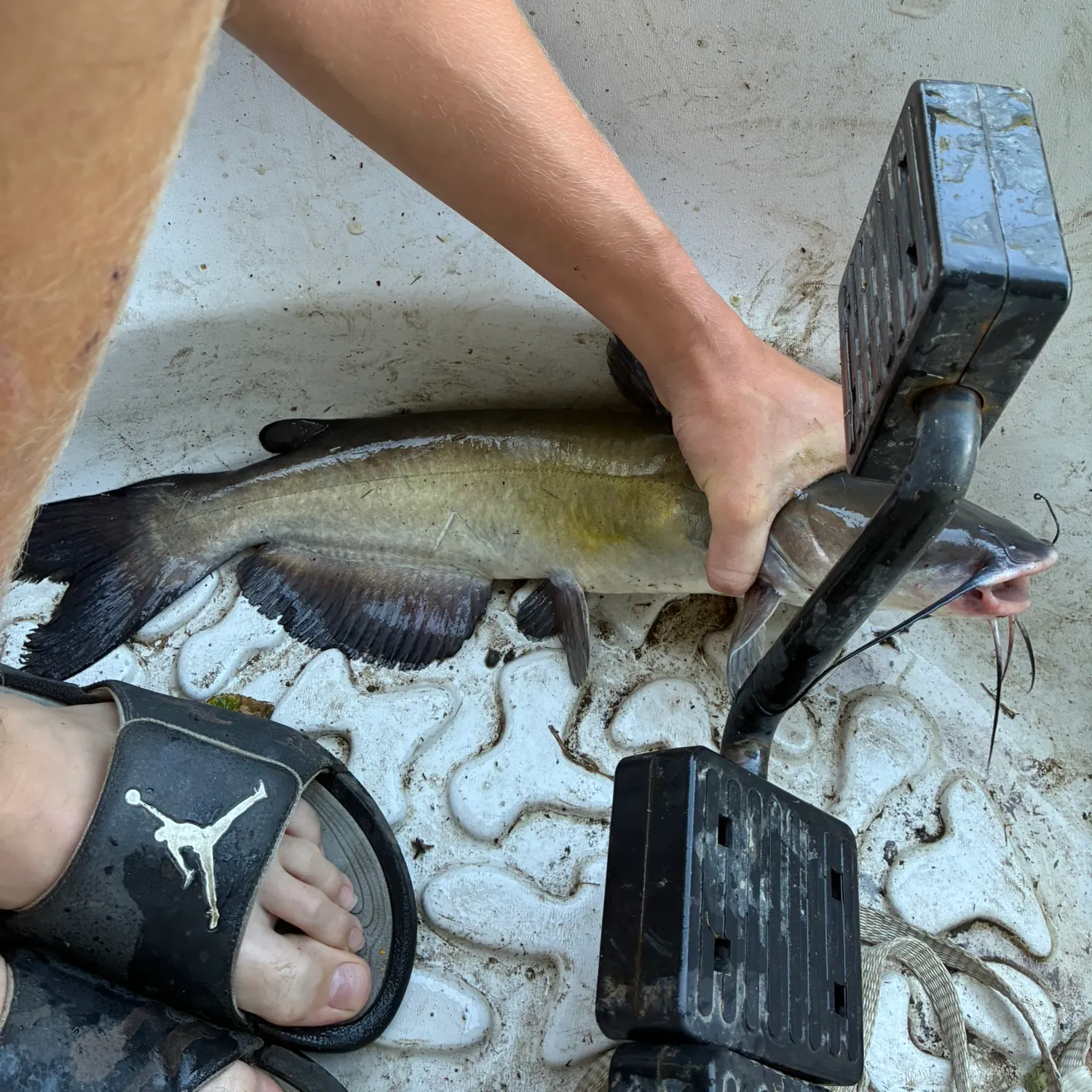 catch