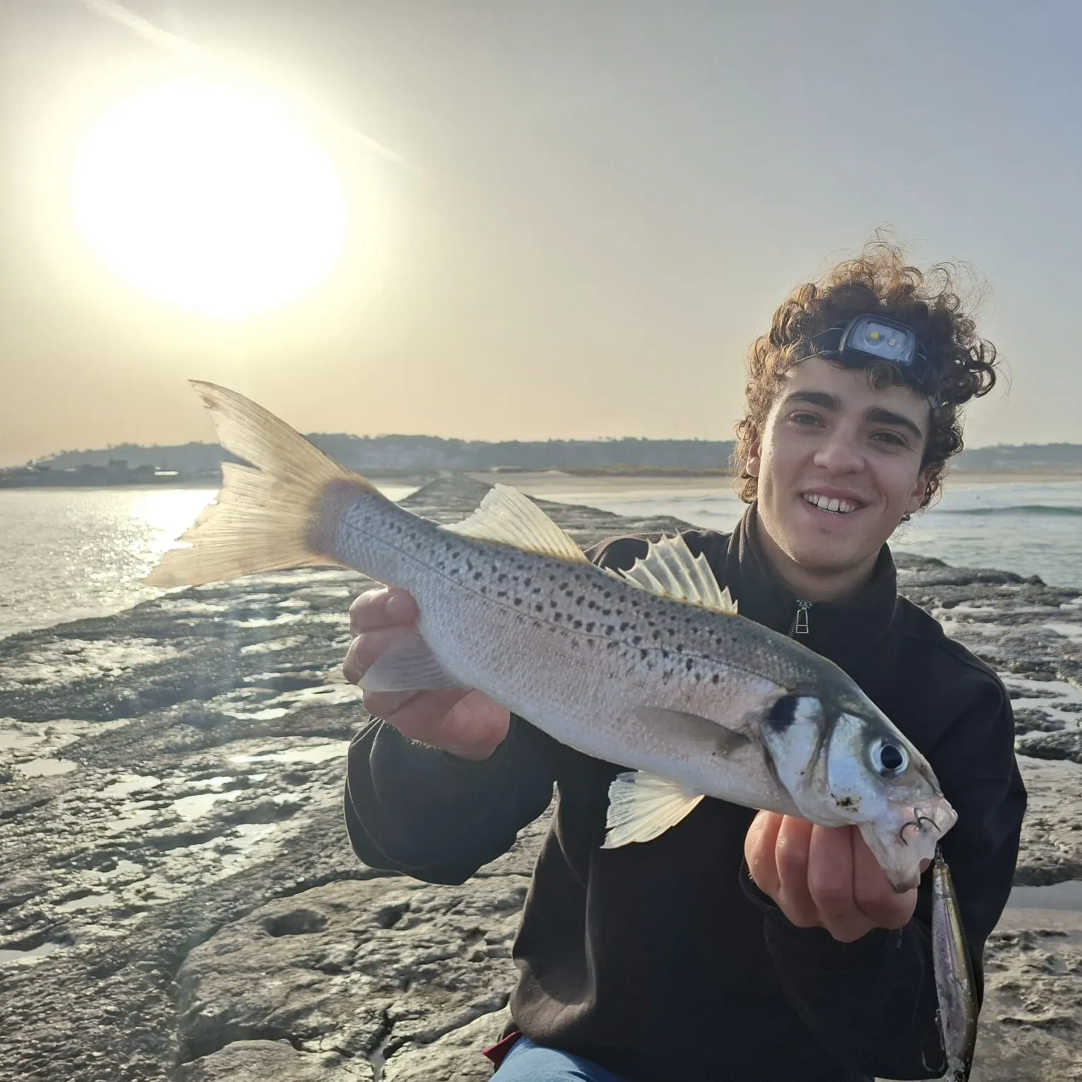 The most recent Spotted seabass catches on Fishbrain