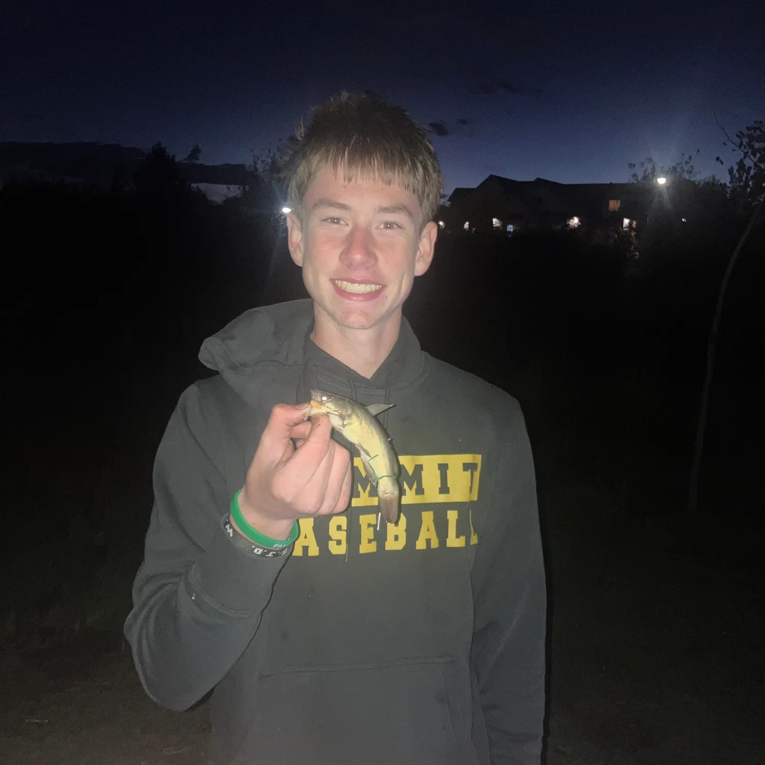 Yellow bullhead caught on Fishbrain