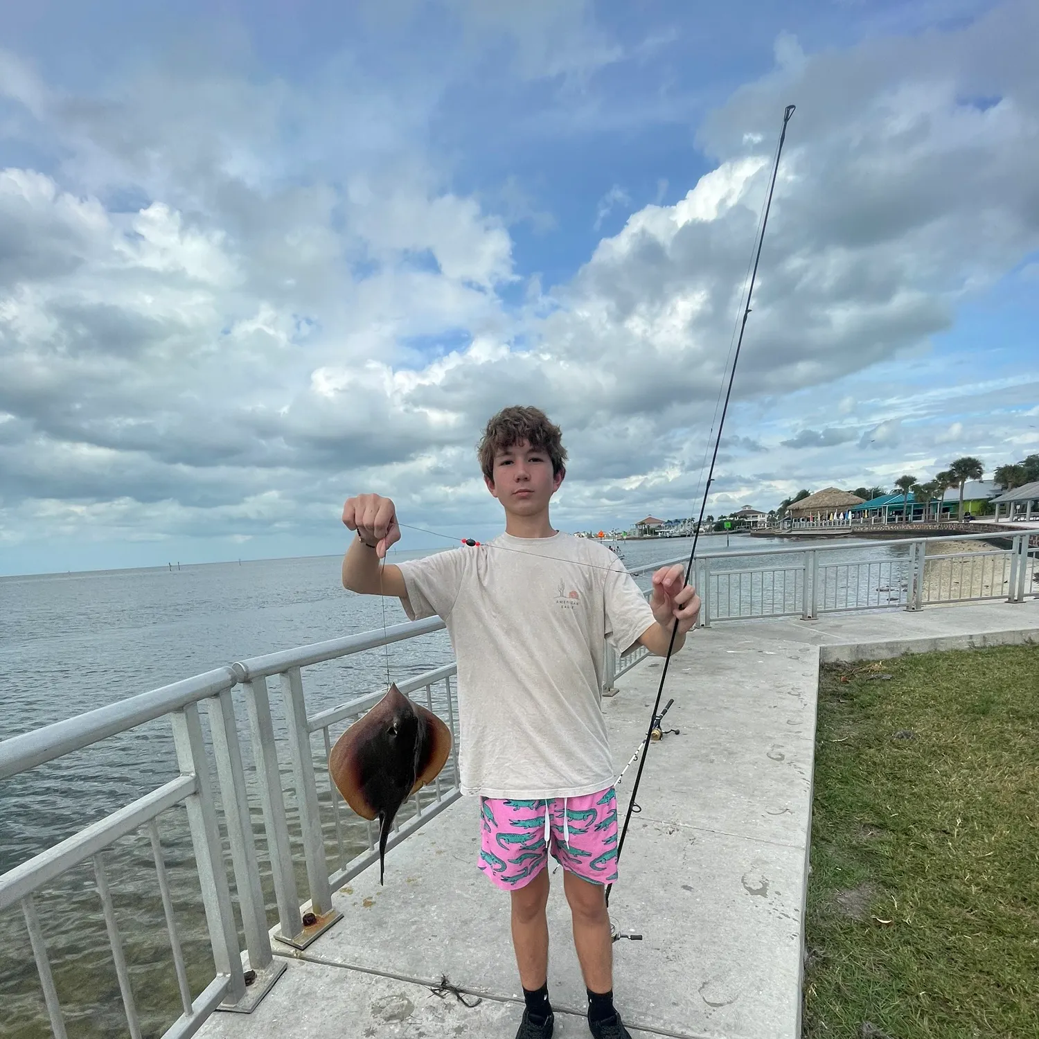 The most recent Sepia stingray catches on Fishbrain