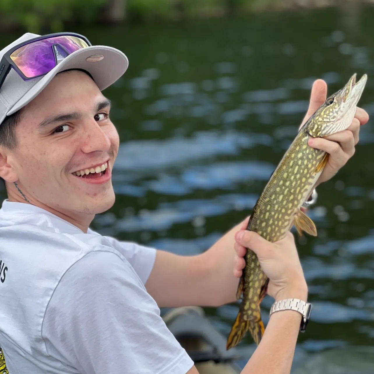 Northern pike caught on Fishbrain